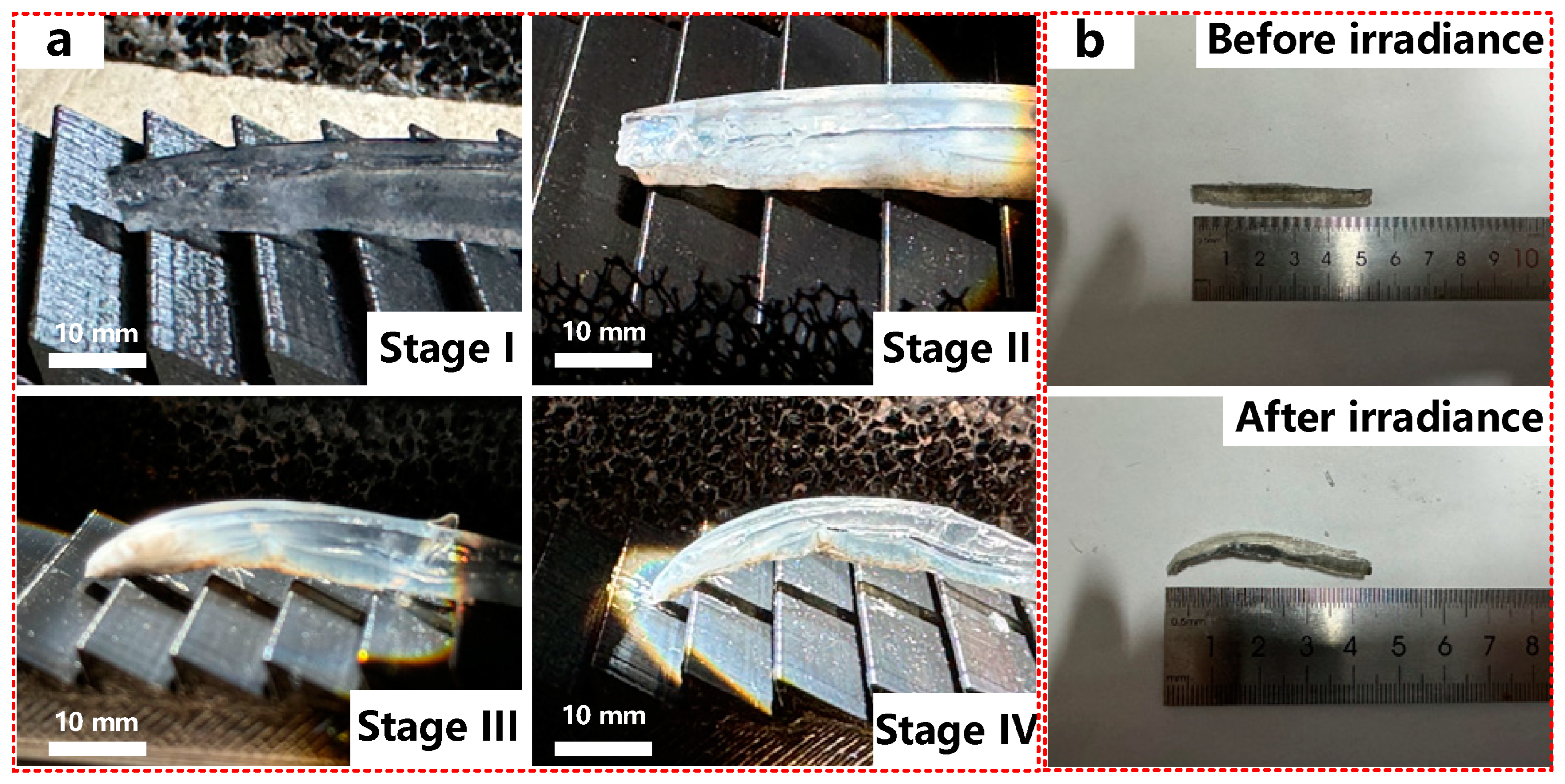 Materials 17 03679 g004
