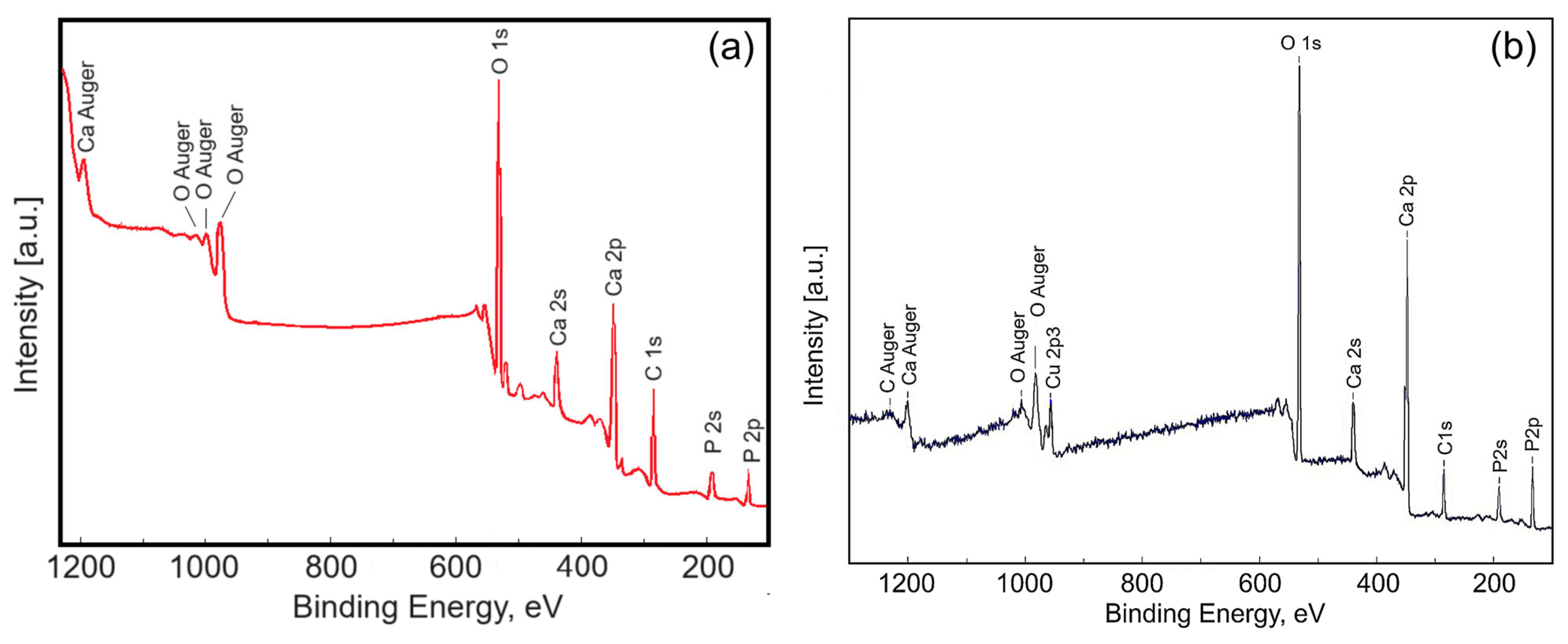 Materials 17 03681 g007