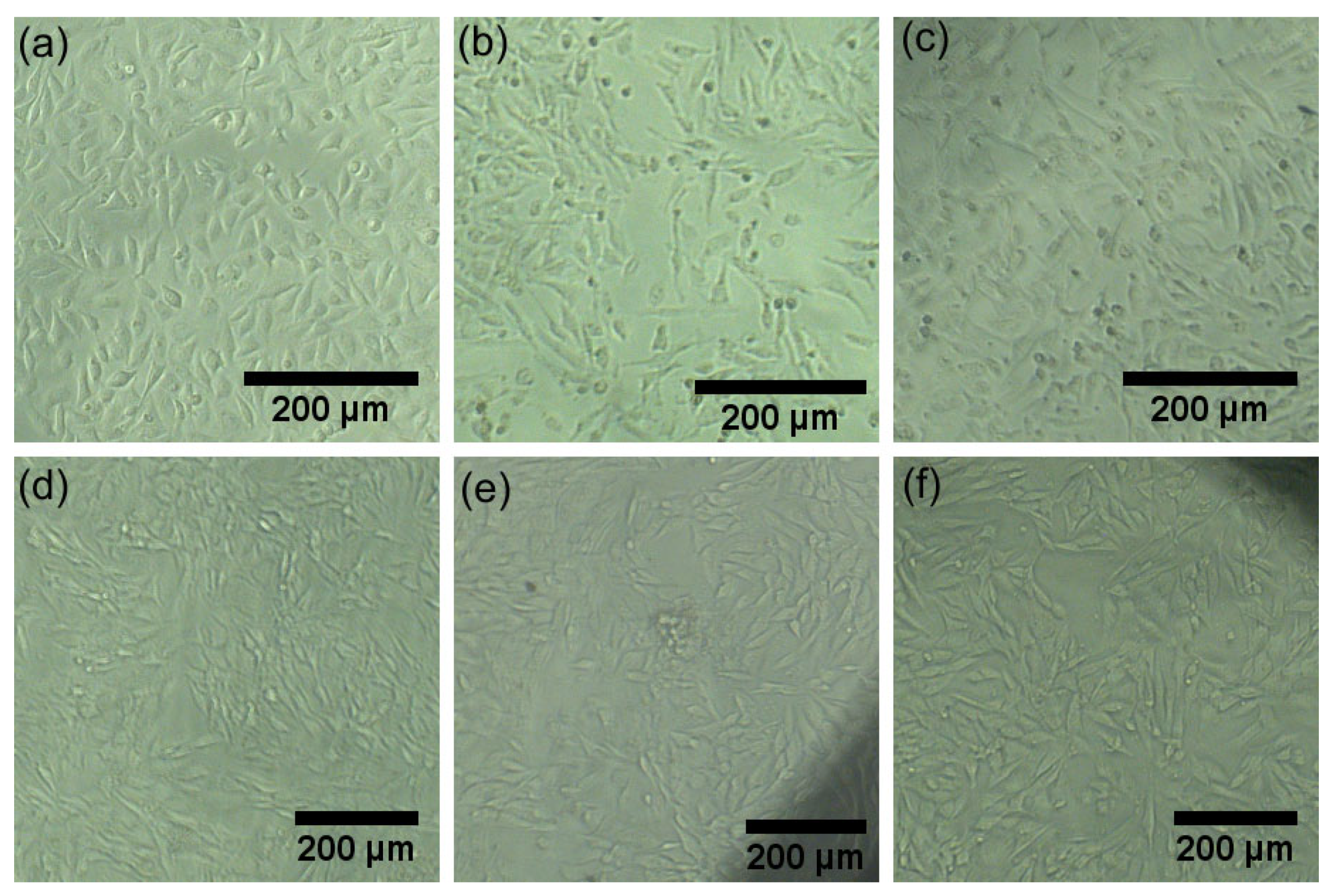 Materials 17 03681 g014