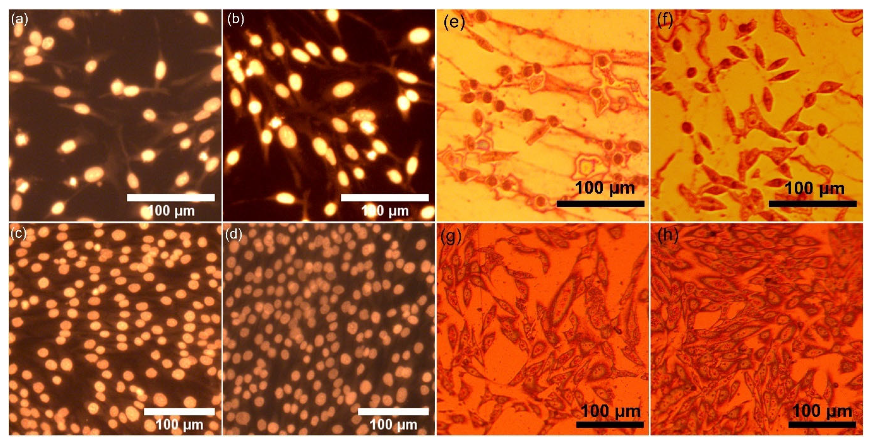 Materials 17 03681 g015