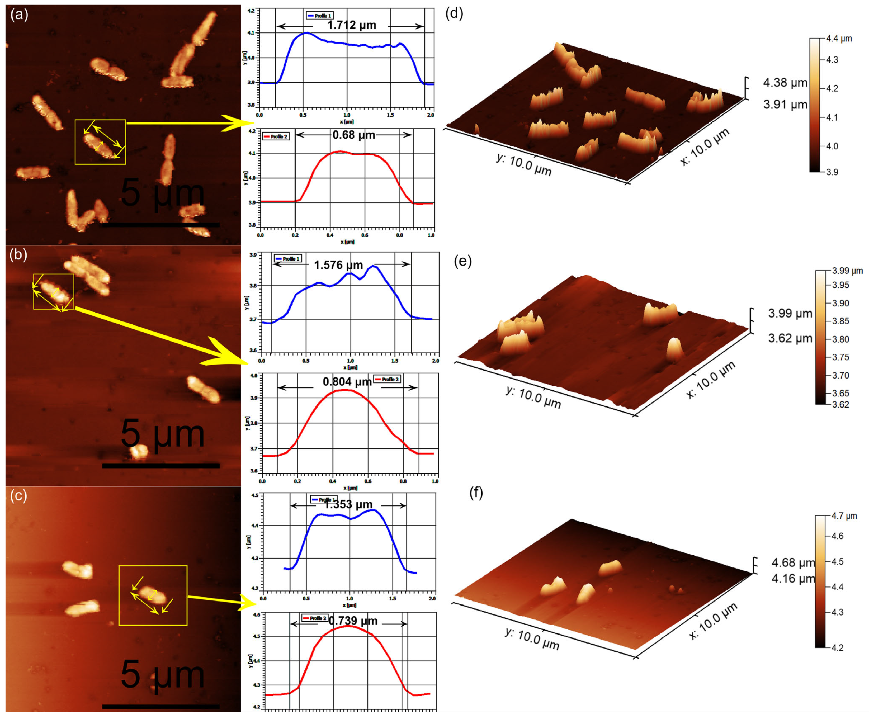 Materials 17 03681 g016