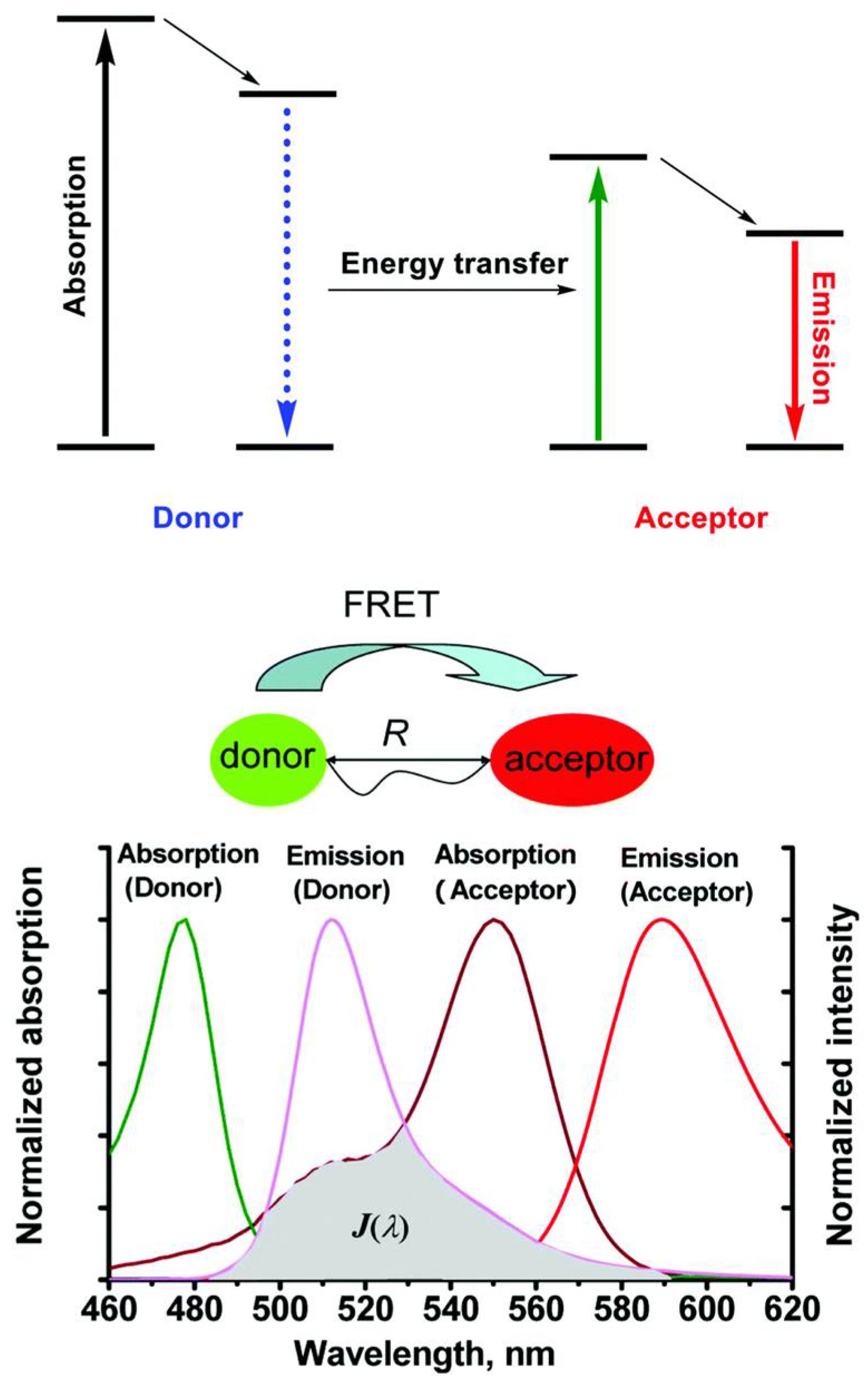 Materials 17 03698 g007