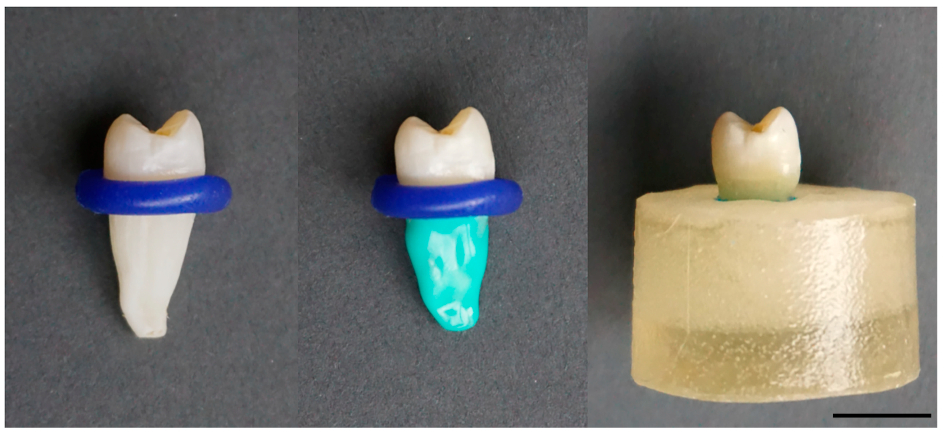 Materials 17 03707 g001