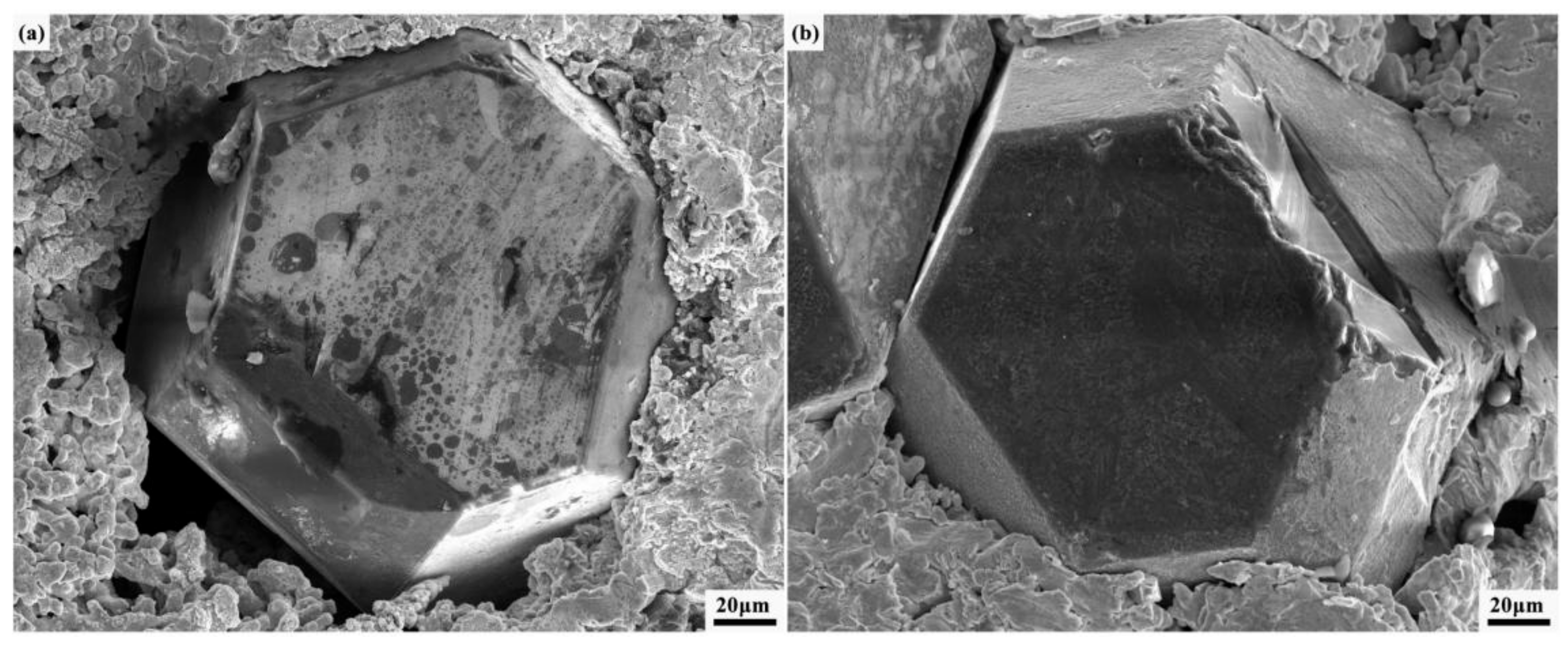 Materials 17 03711 g001