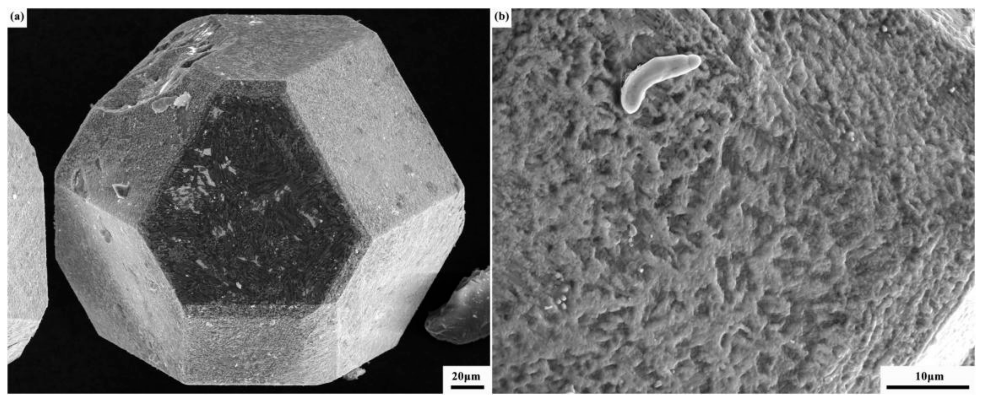 Materials 17 03711 g002