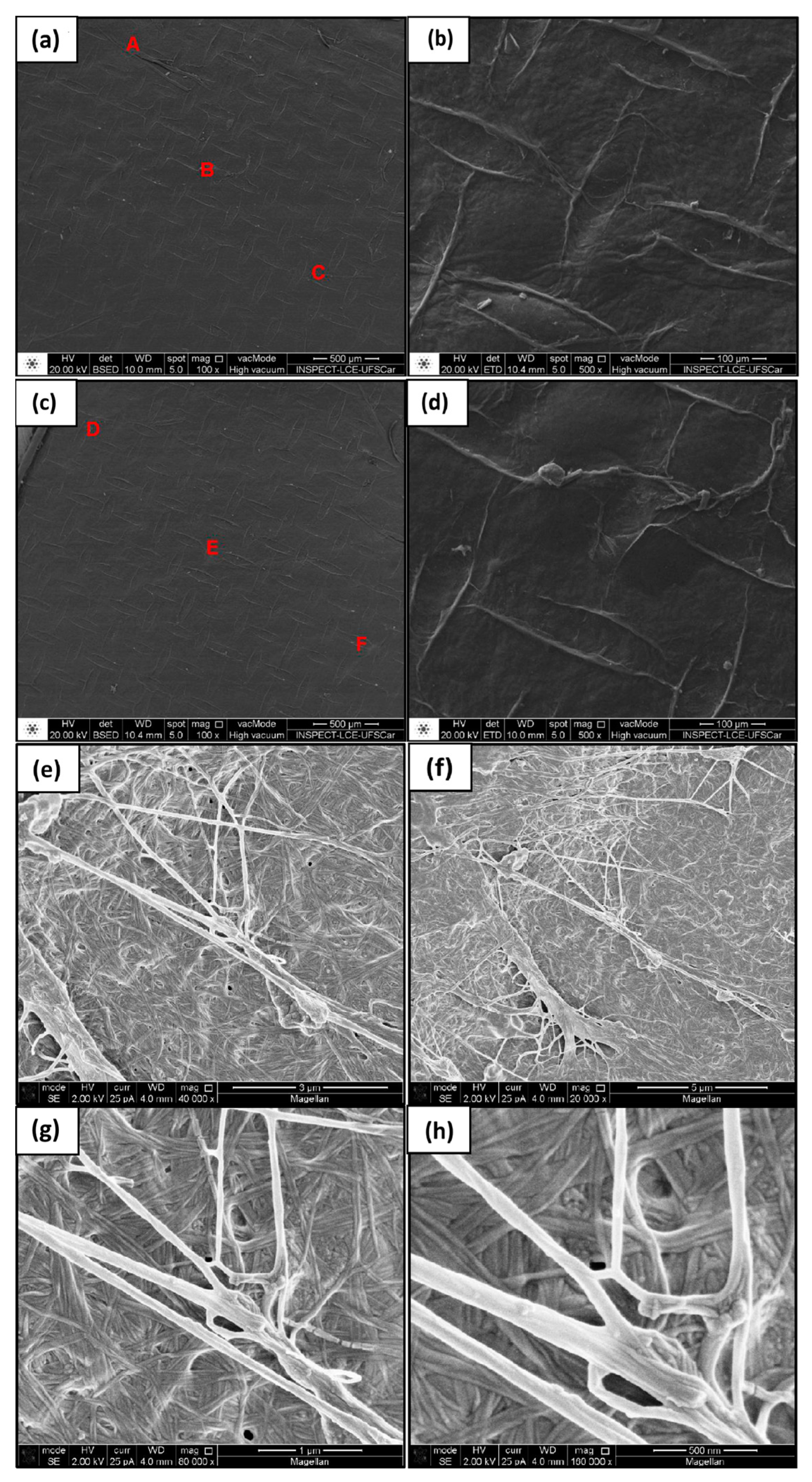 Materials 17 03732 g007