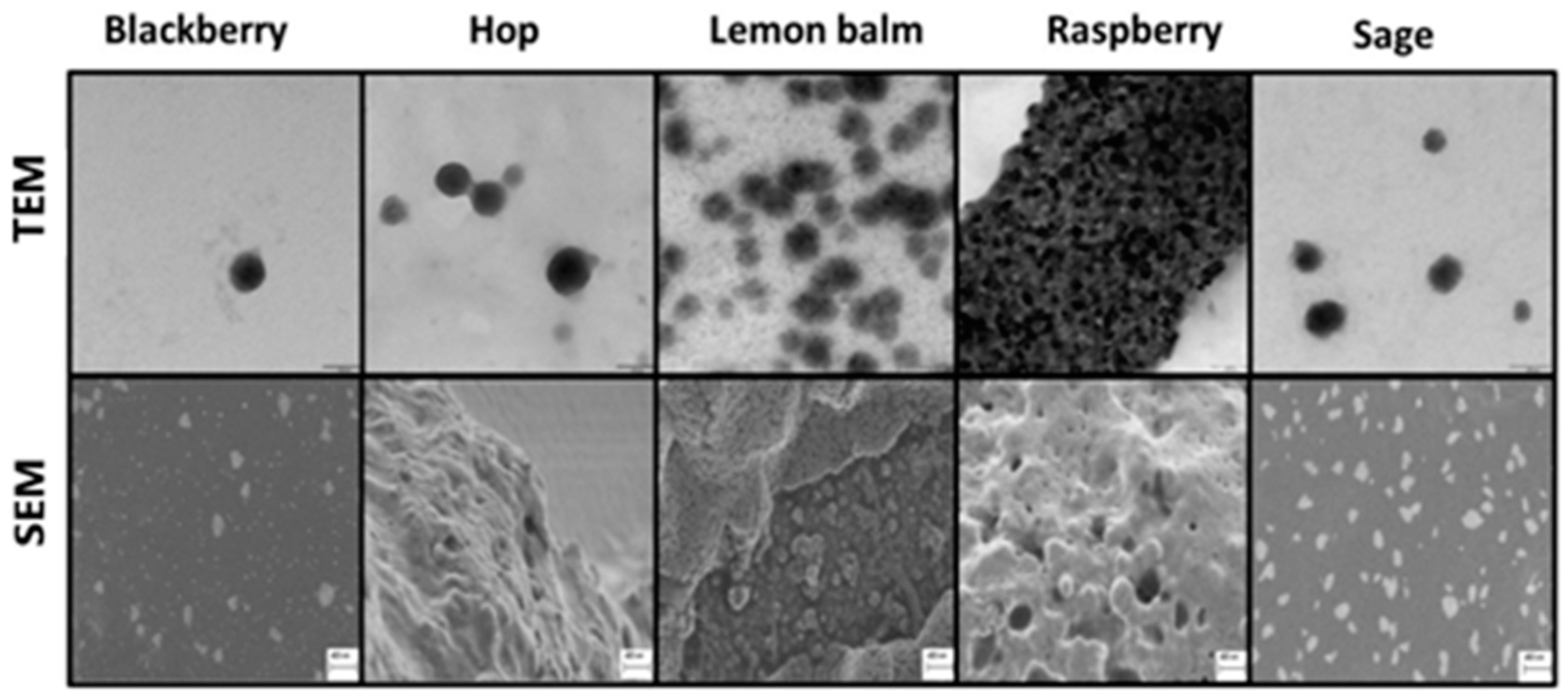 Materials 17 03748 g002