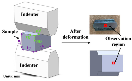 The Role of Deformation and Microstructure Evolution on Texture