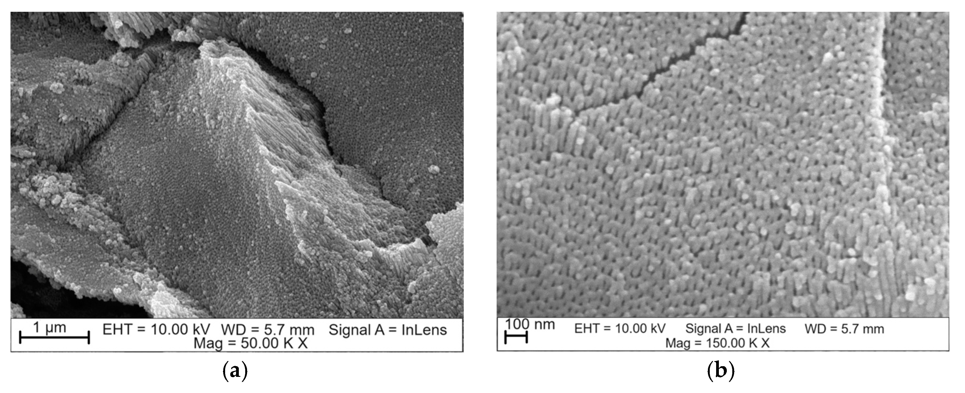 Materials 17 03753 g003a