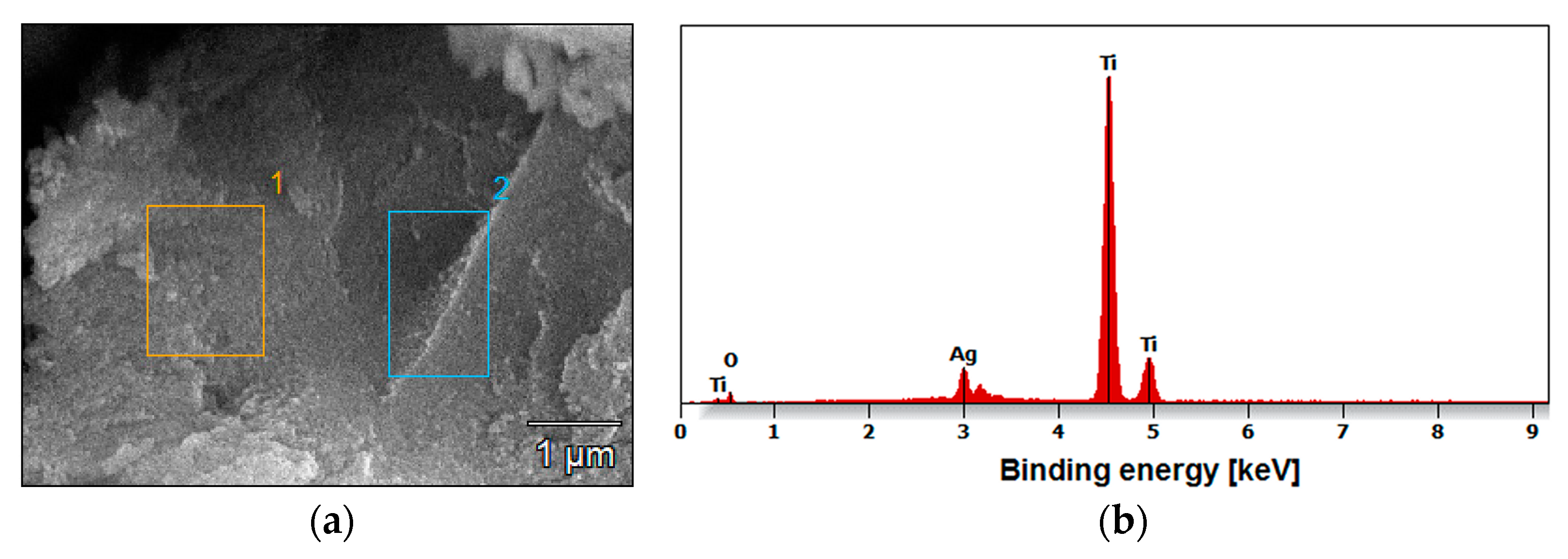 Materials 17 03753 g005