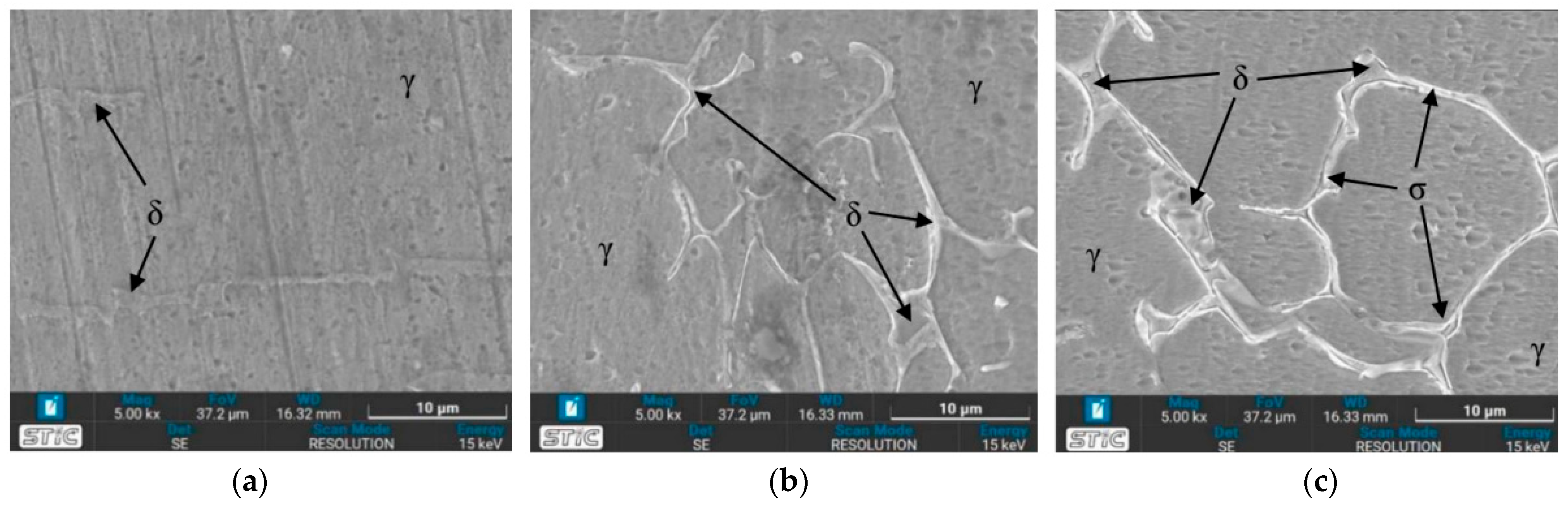 Materials 17 03768 g013