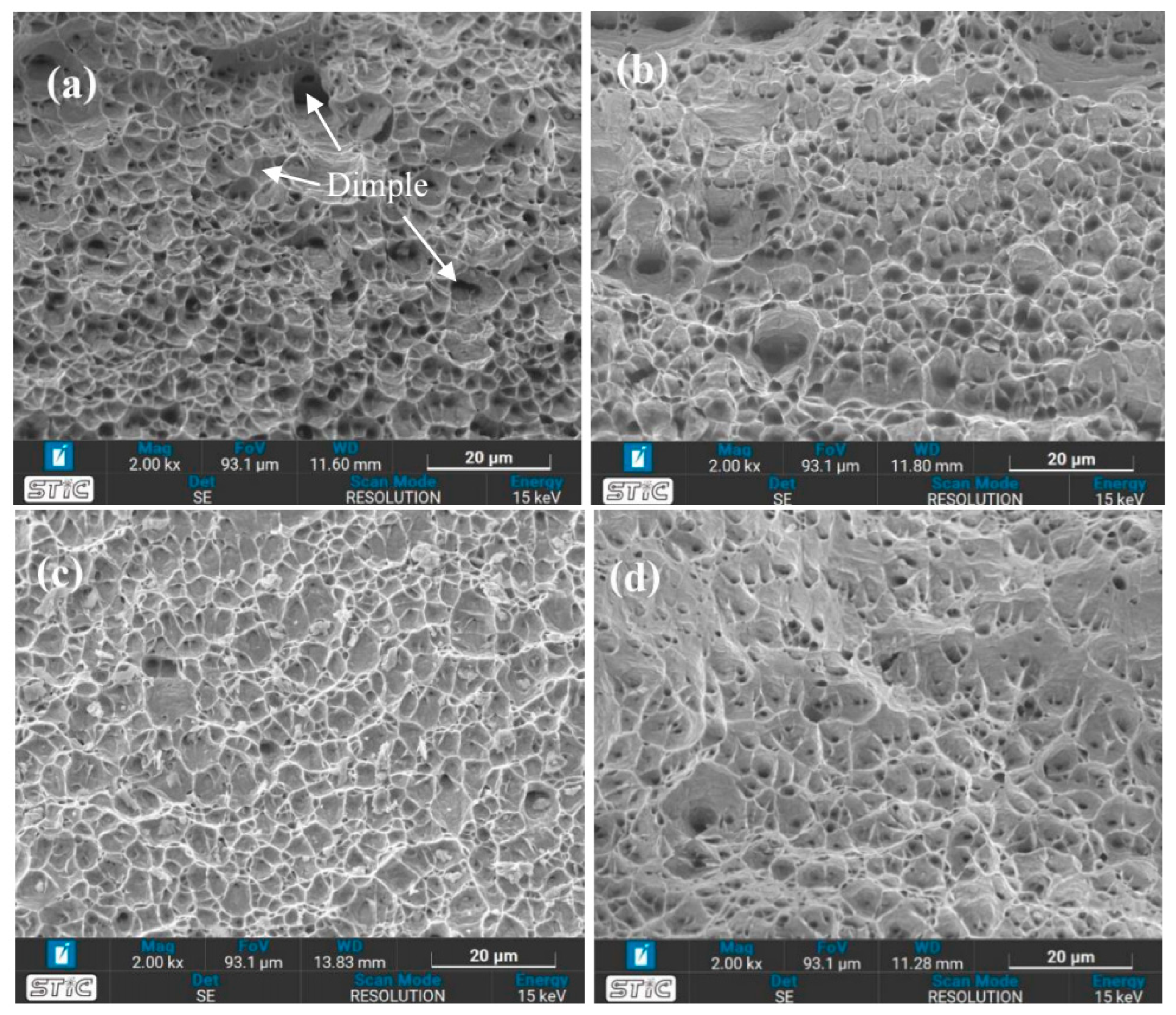 Materials 17 03768 g022