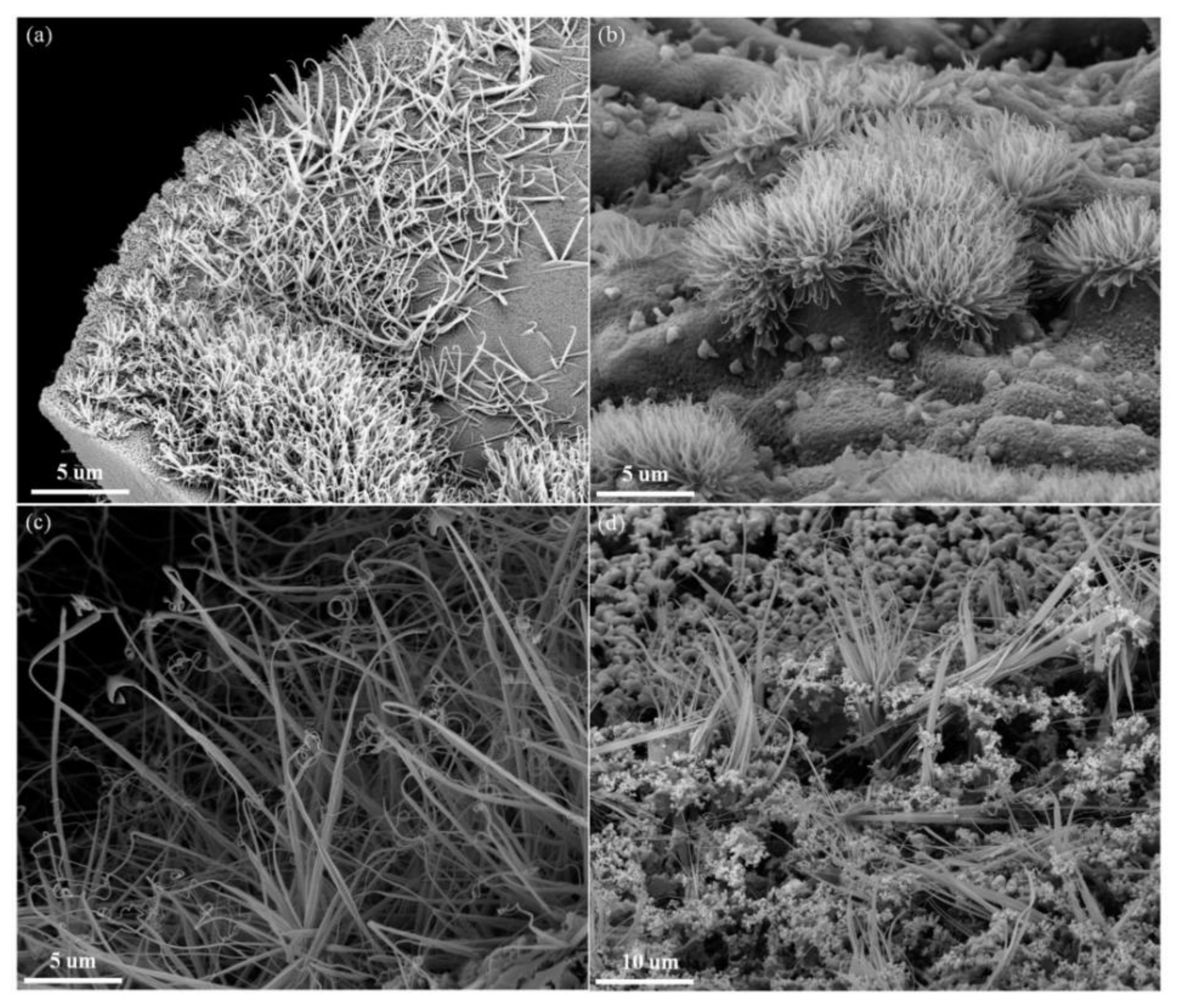 Materials 17 03770 g005