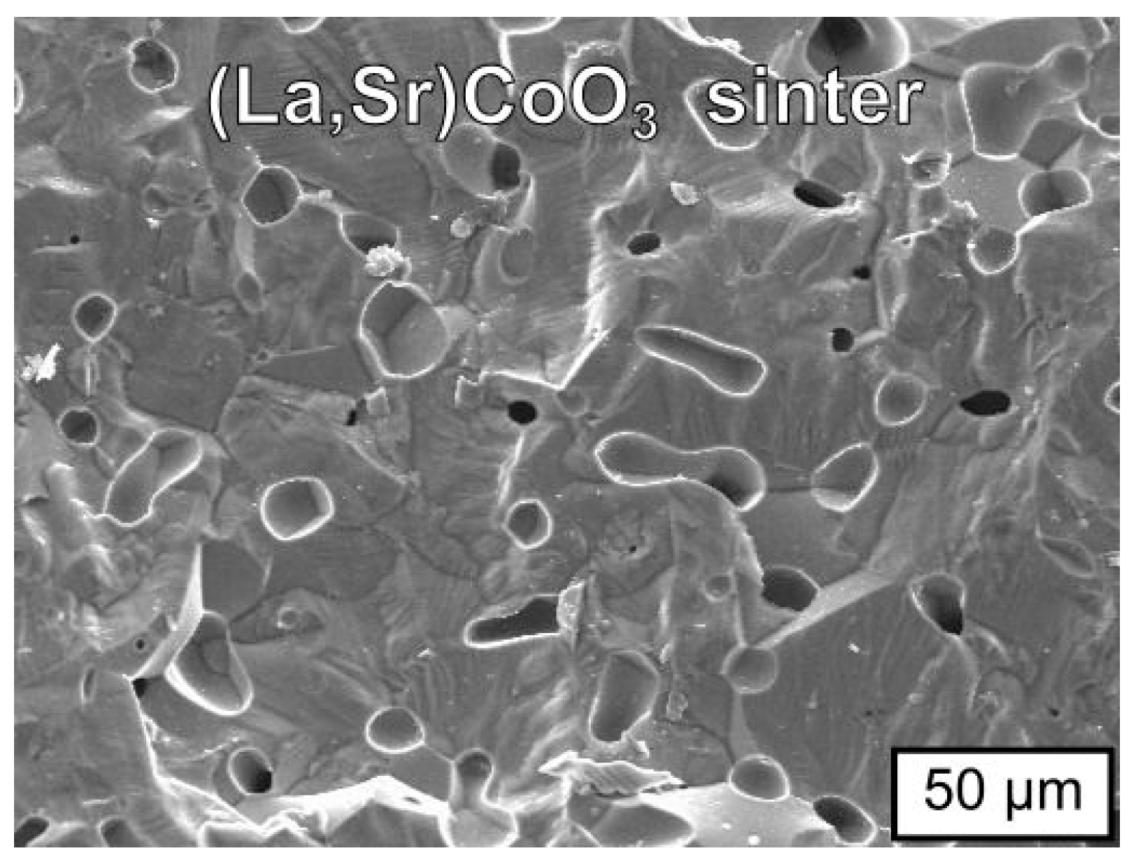 Materials 17 03791 g004