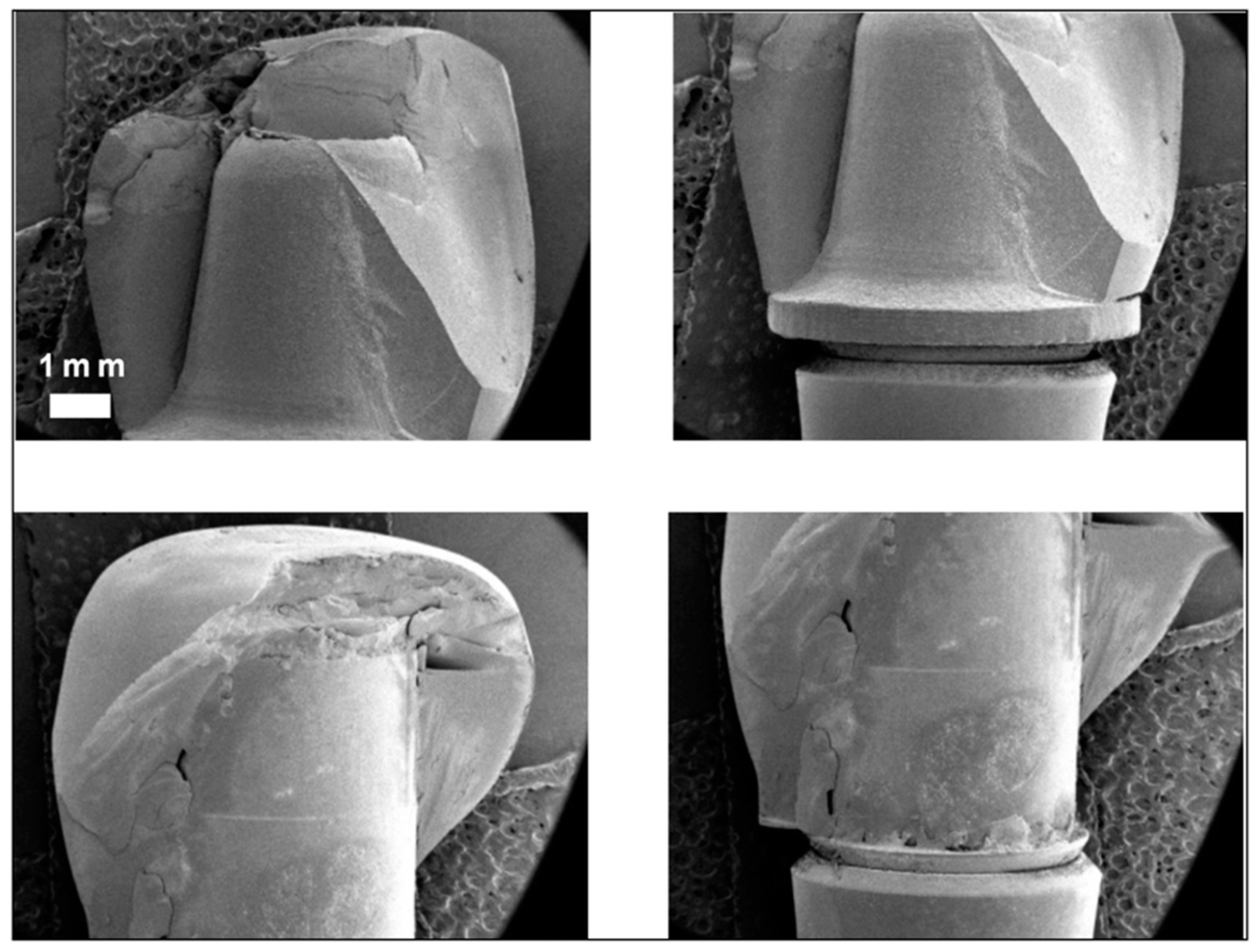 Materials 17 03815 g010