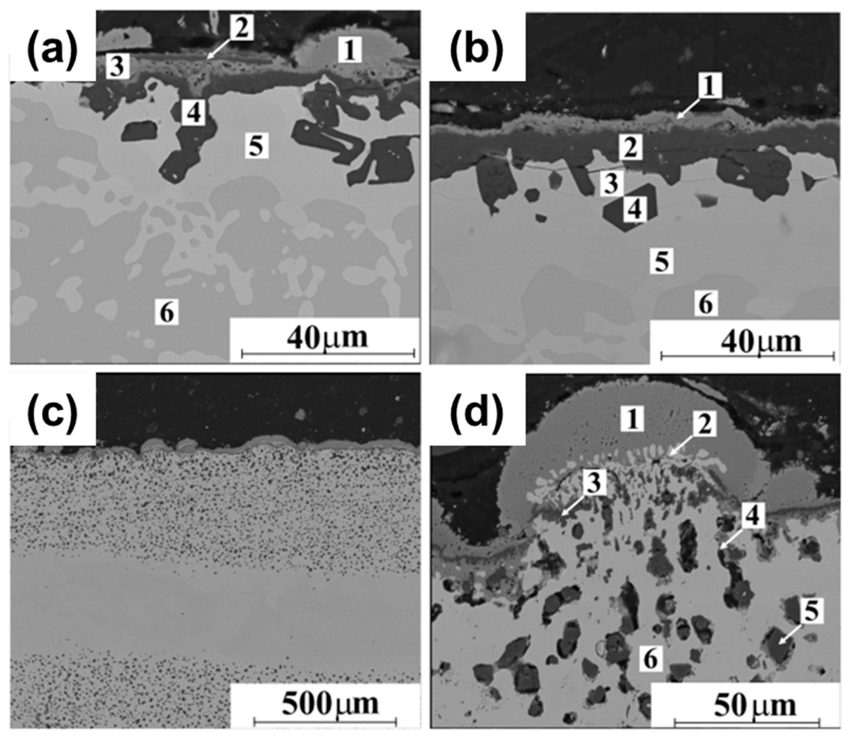 Materials 17 03826 g016