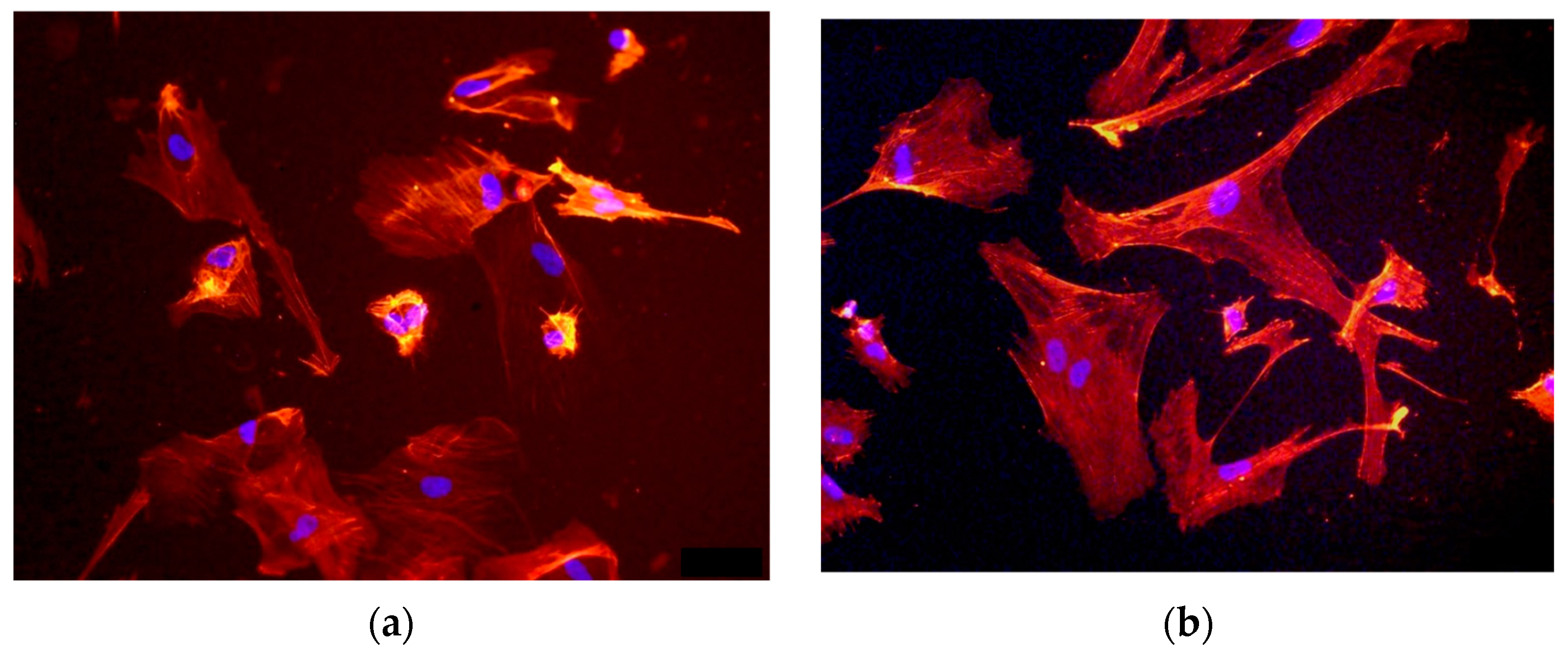 Materials 17 03833 g004