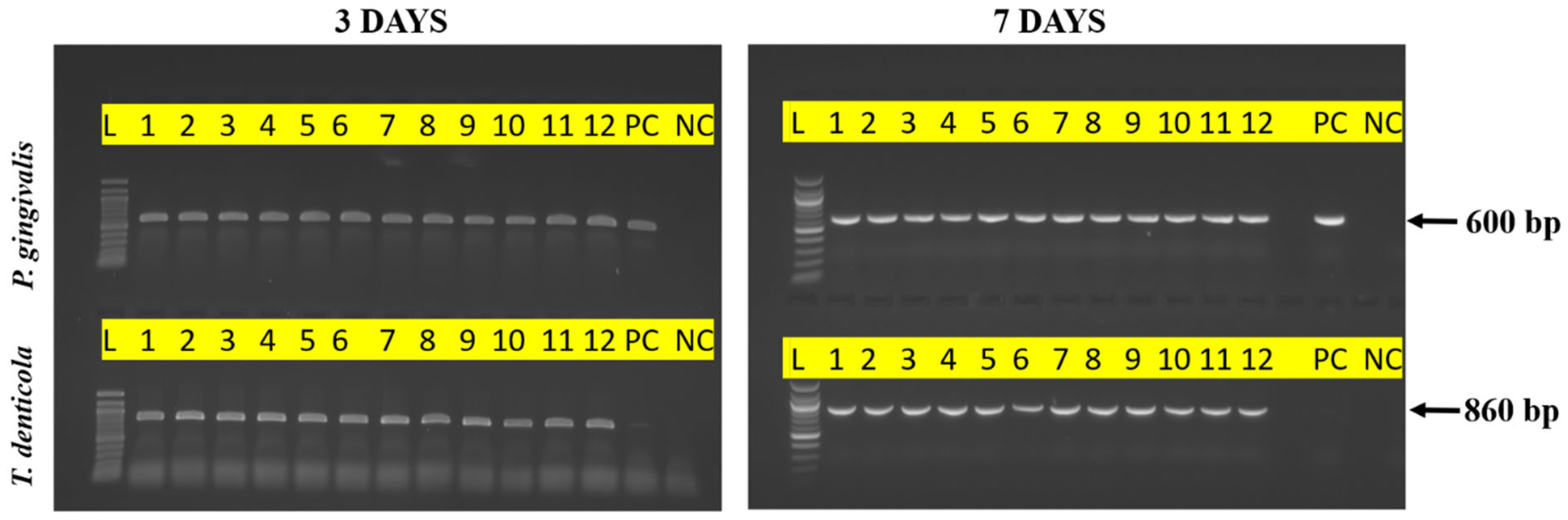 Materials 17 03843 g001