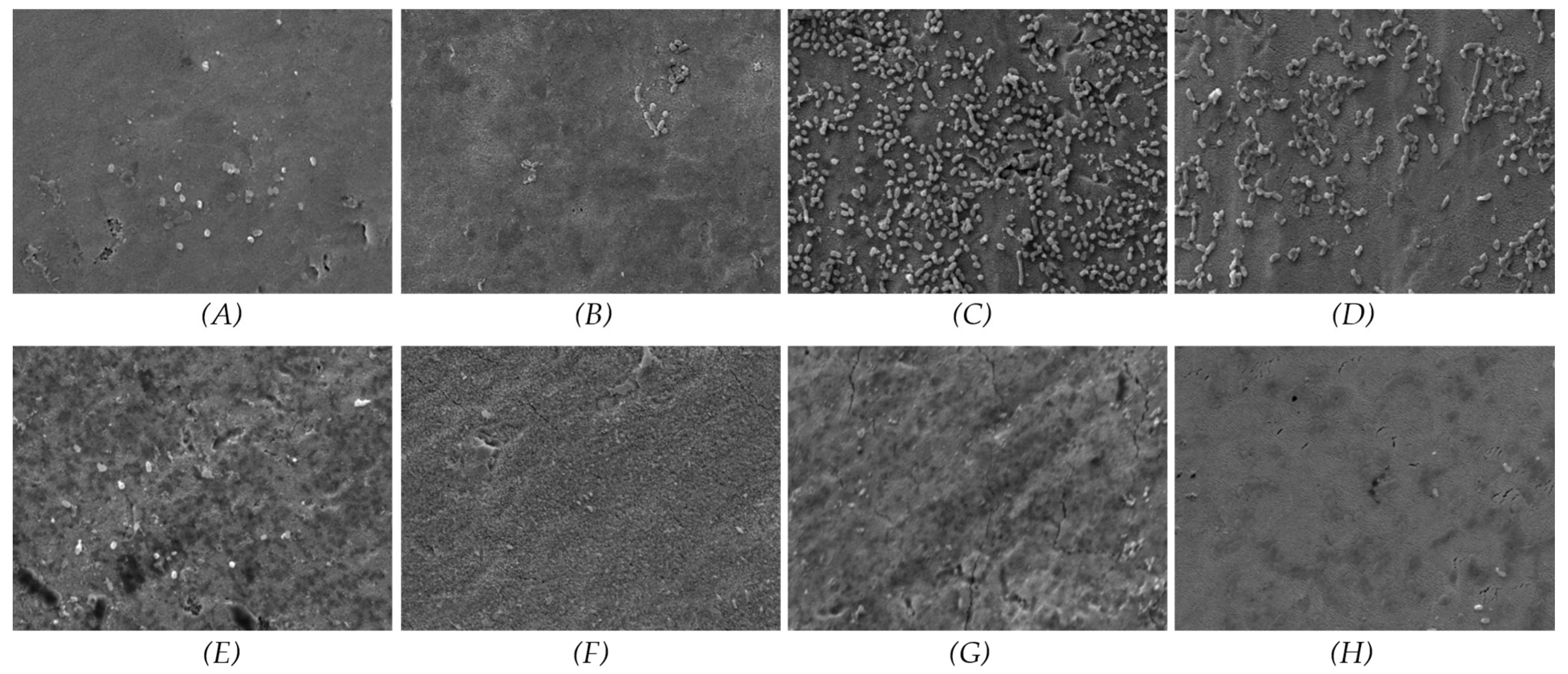 Materials 17 03843 g003