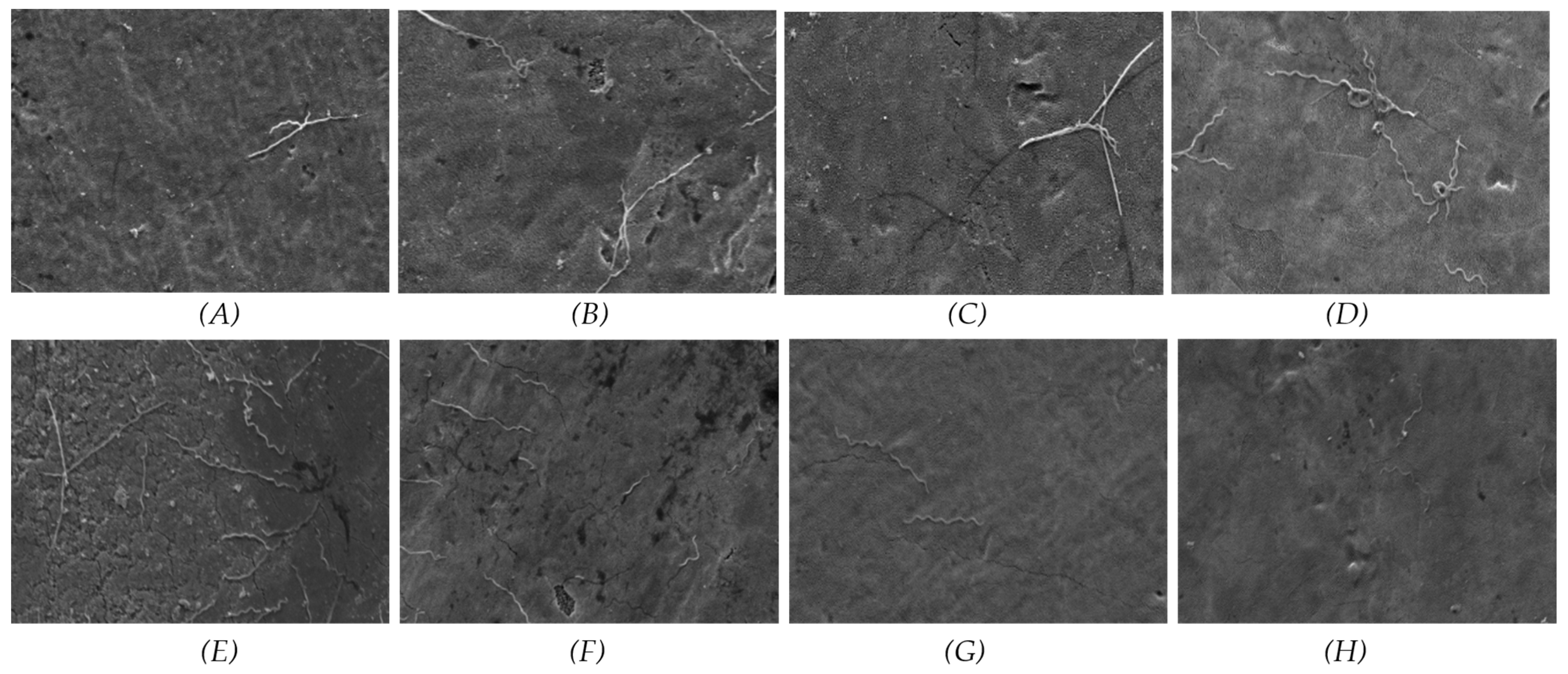 Materials 17 03843 g004