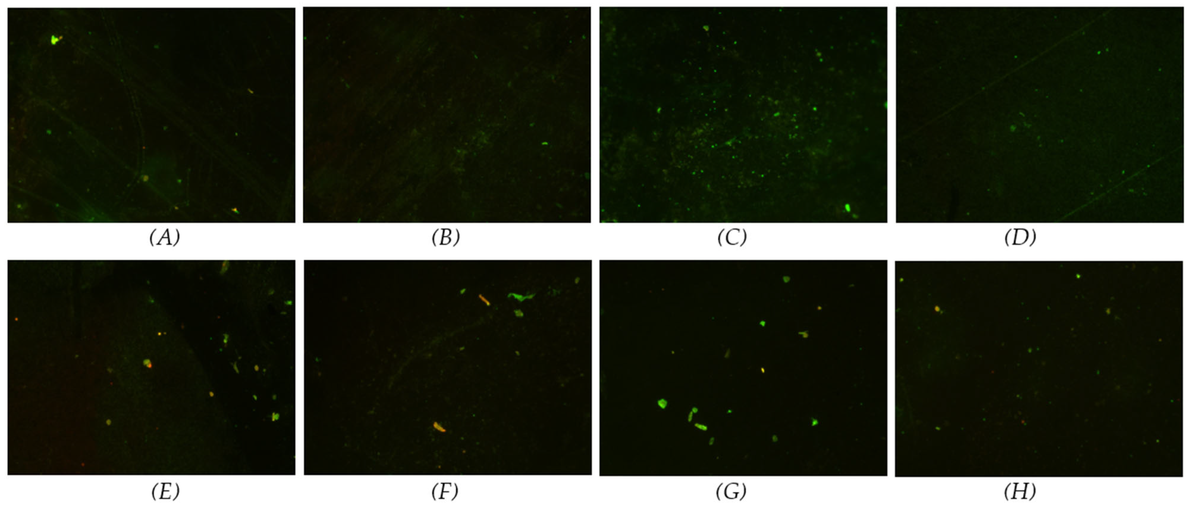 Materials 17 03843 g005