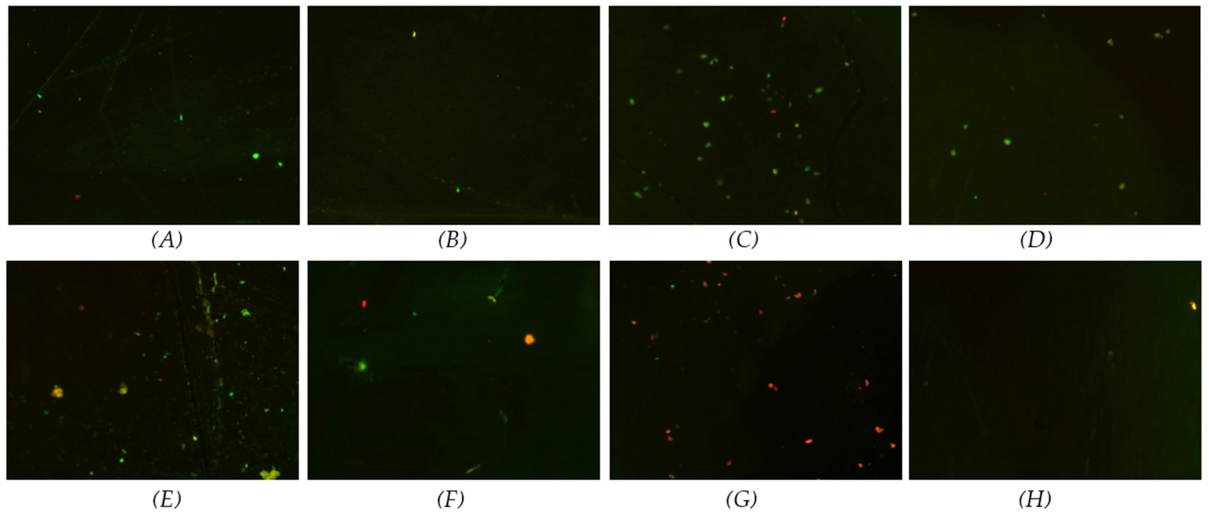 Materials 17 03843 g006