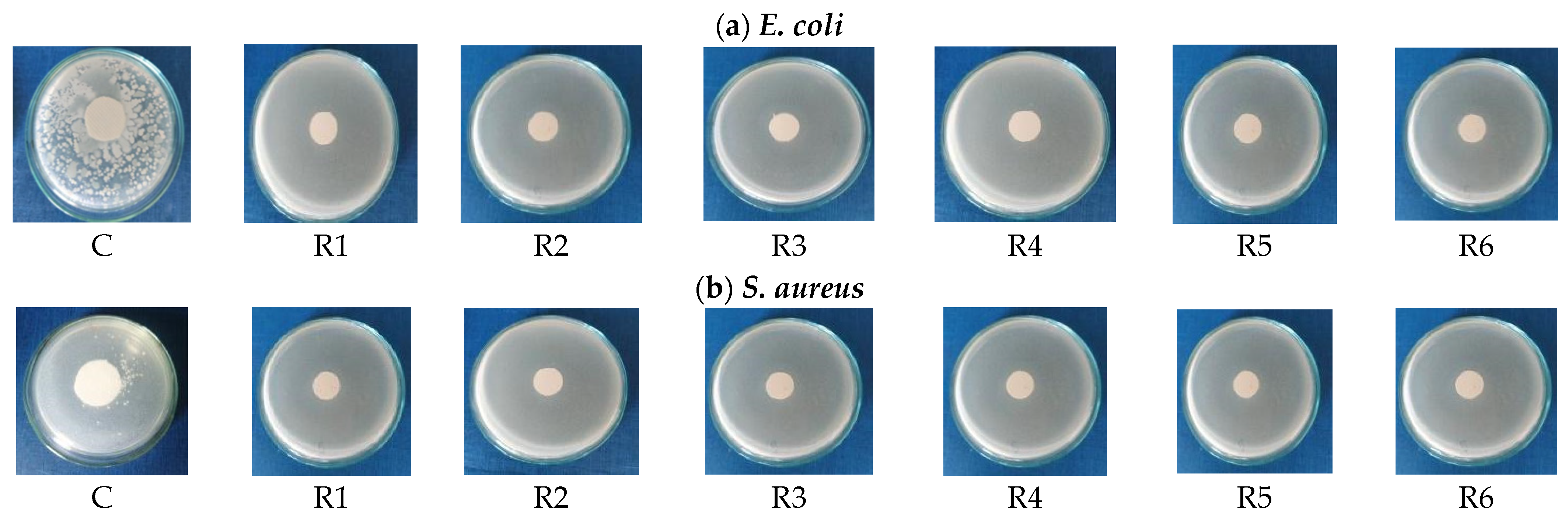 Materials 17 03867 g002
