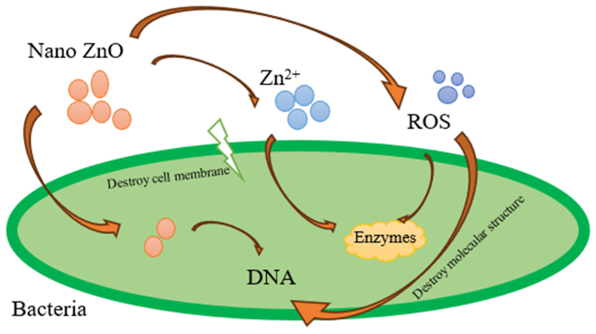 Materials 17 03868 g001