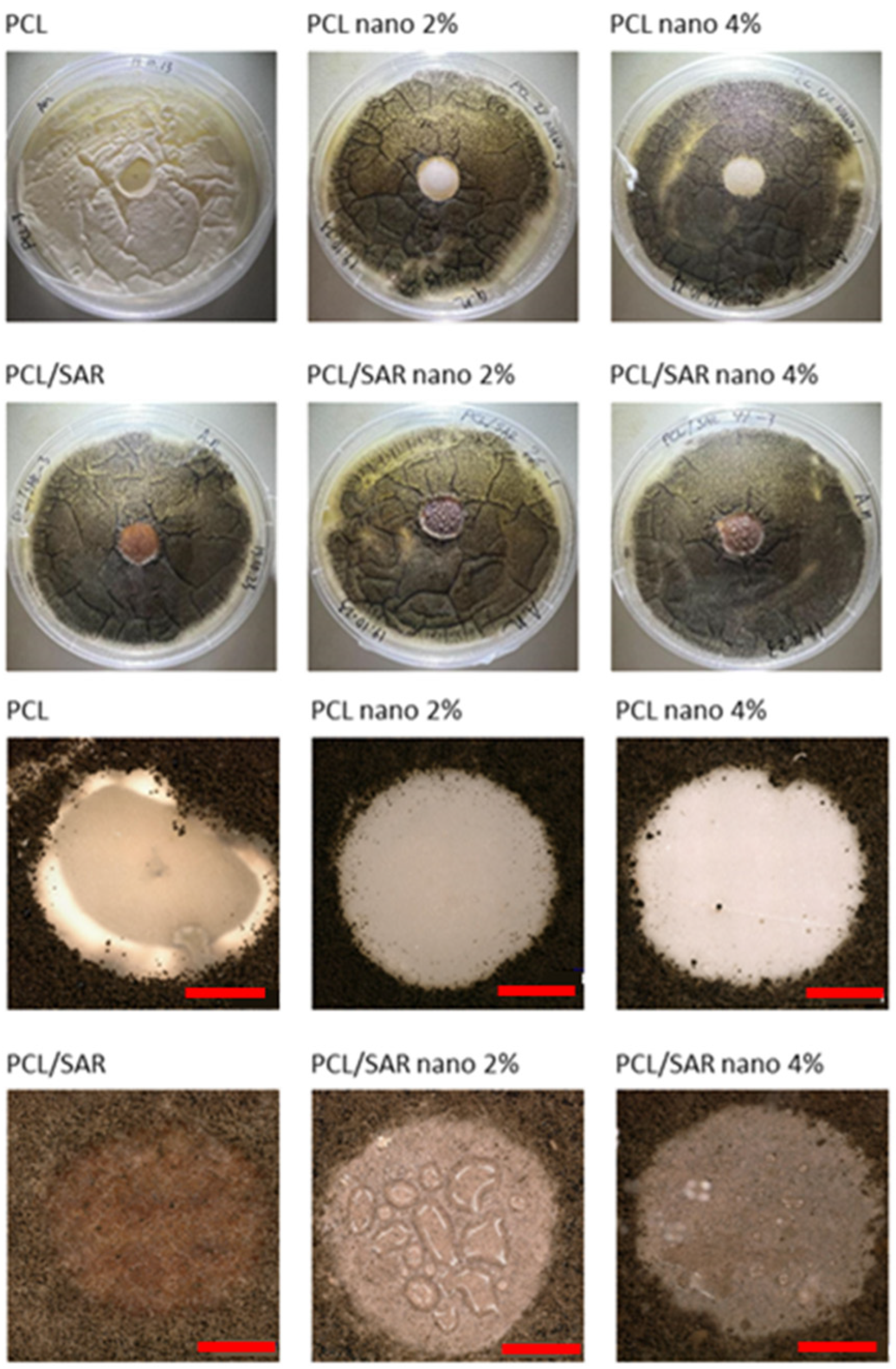 Materials 17 03868 g005