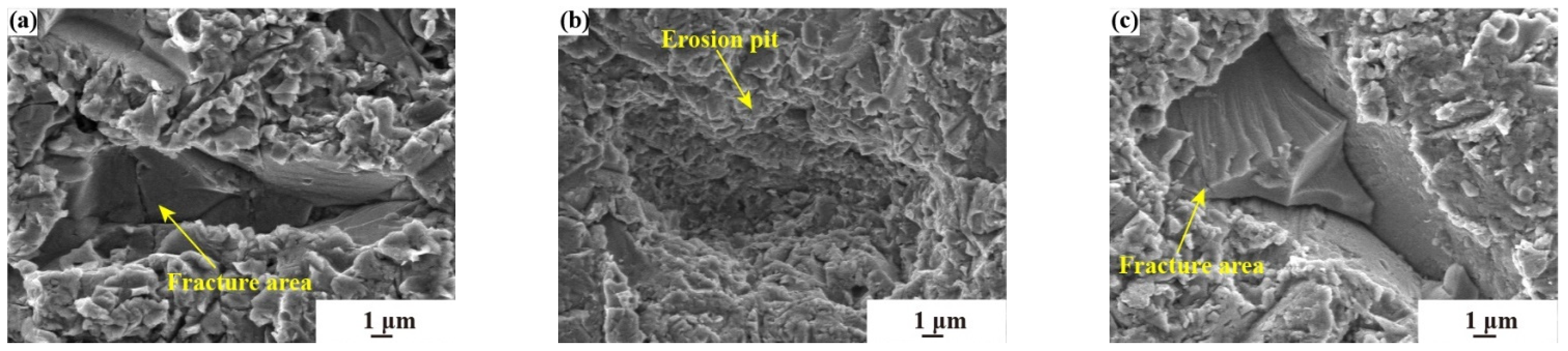 Materials 17 03890 g010