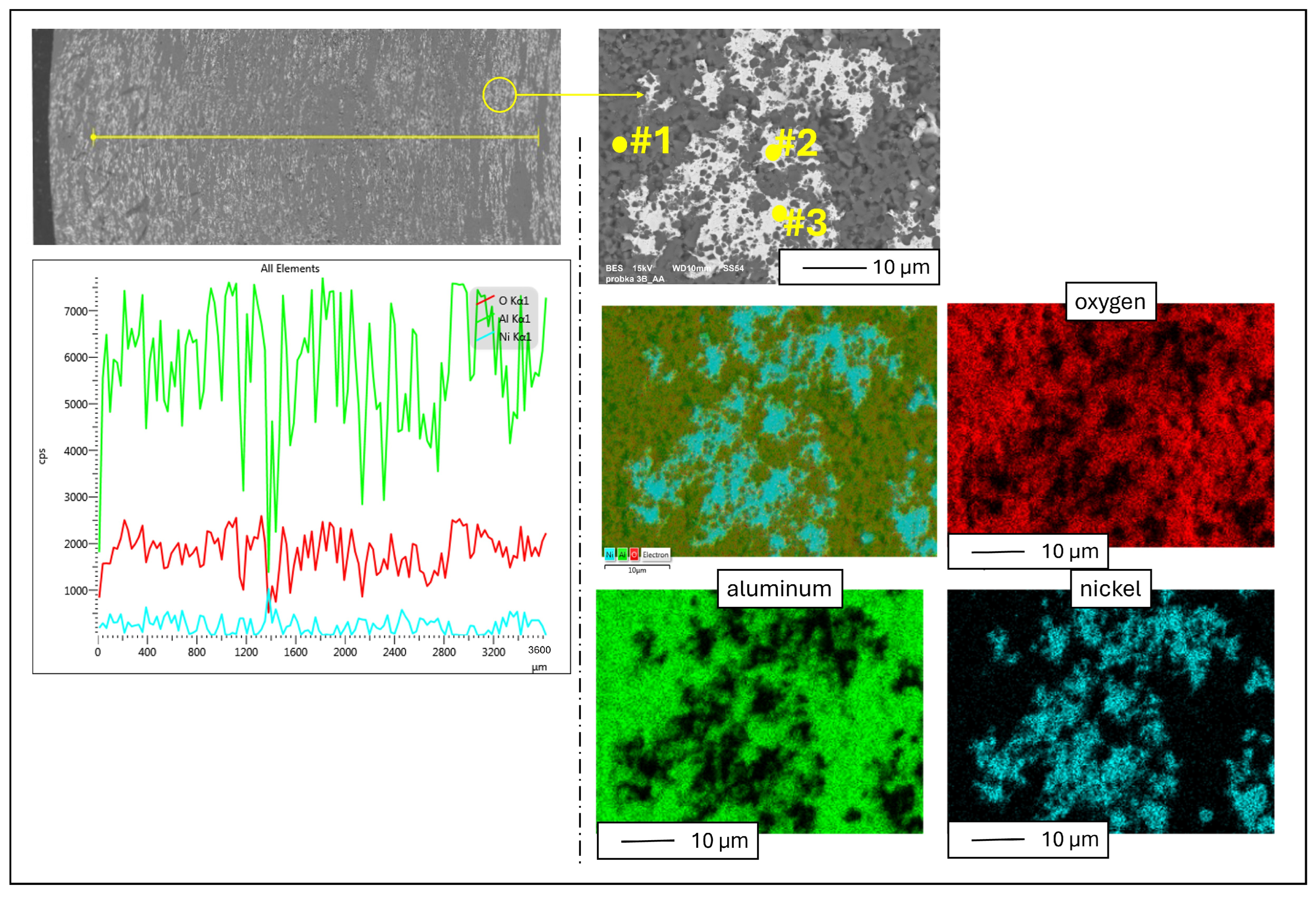 Materials 17 03902 g008
