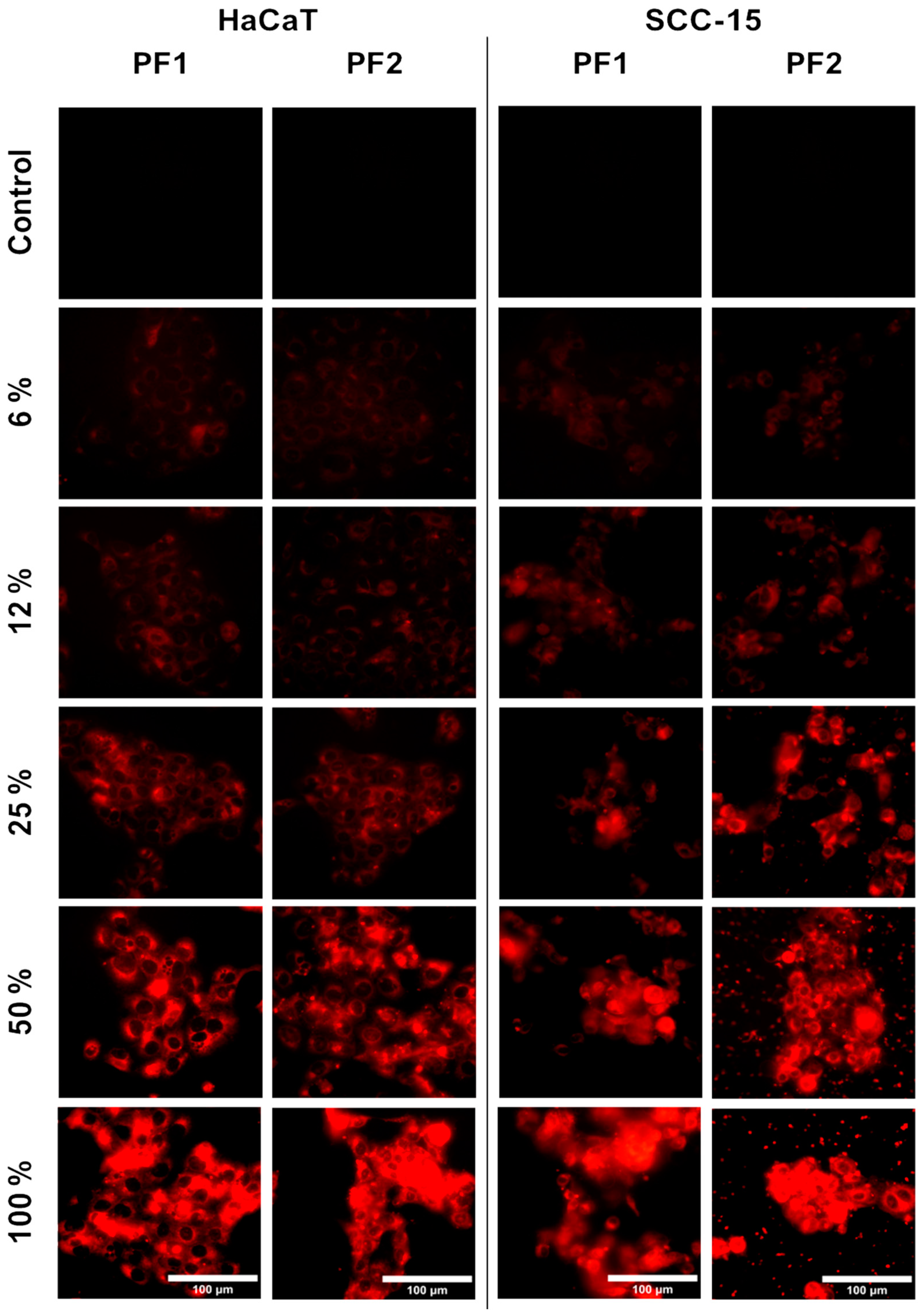 Materials 17 03905 g008