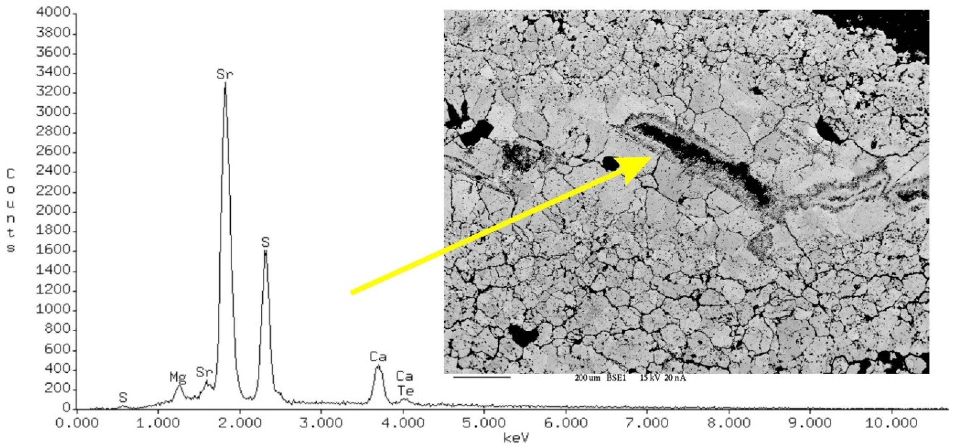 Materials 17 03909 g010