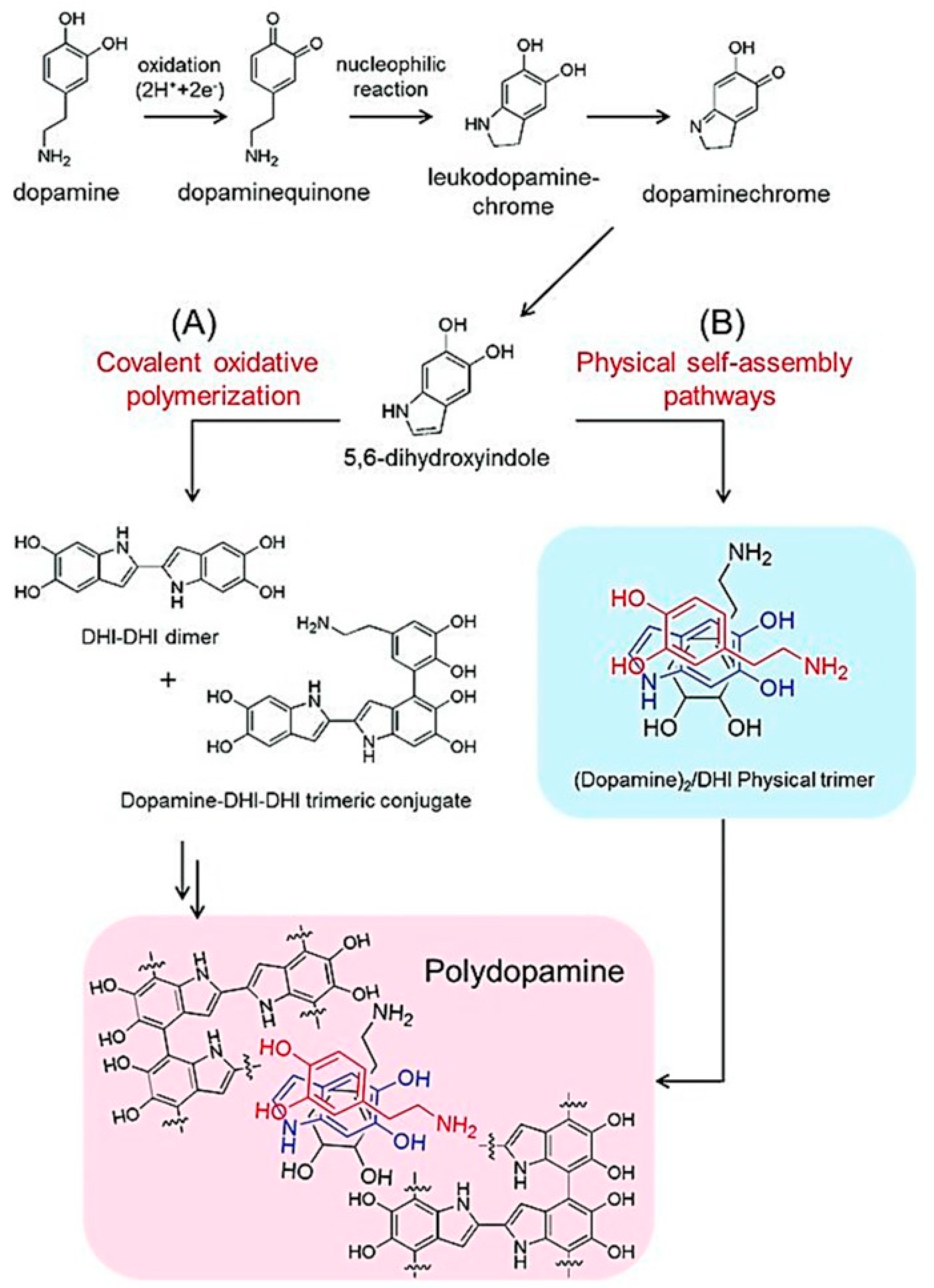 Materials 17 03916 g001