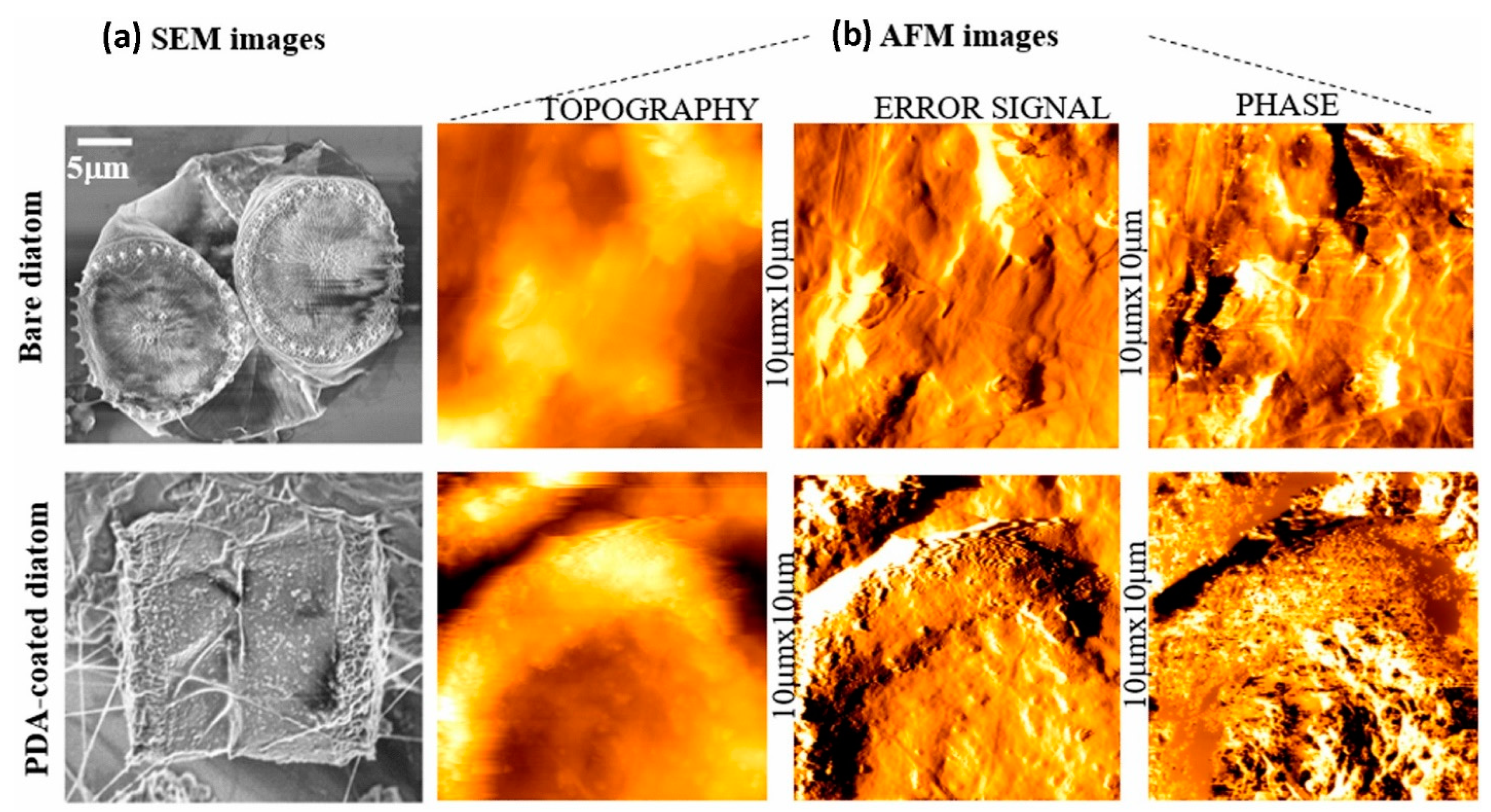 Materials 17 03916 g002