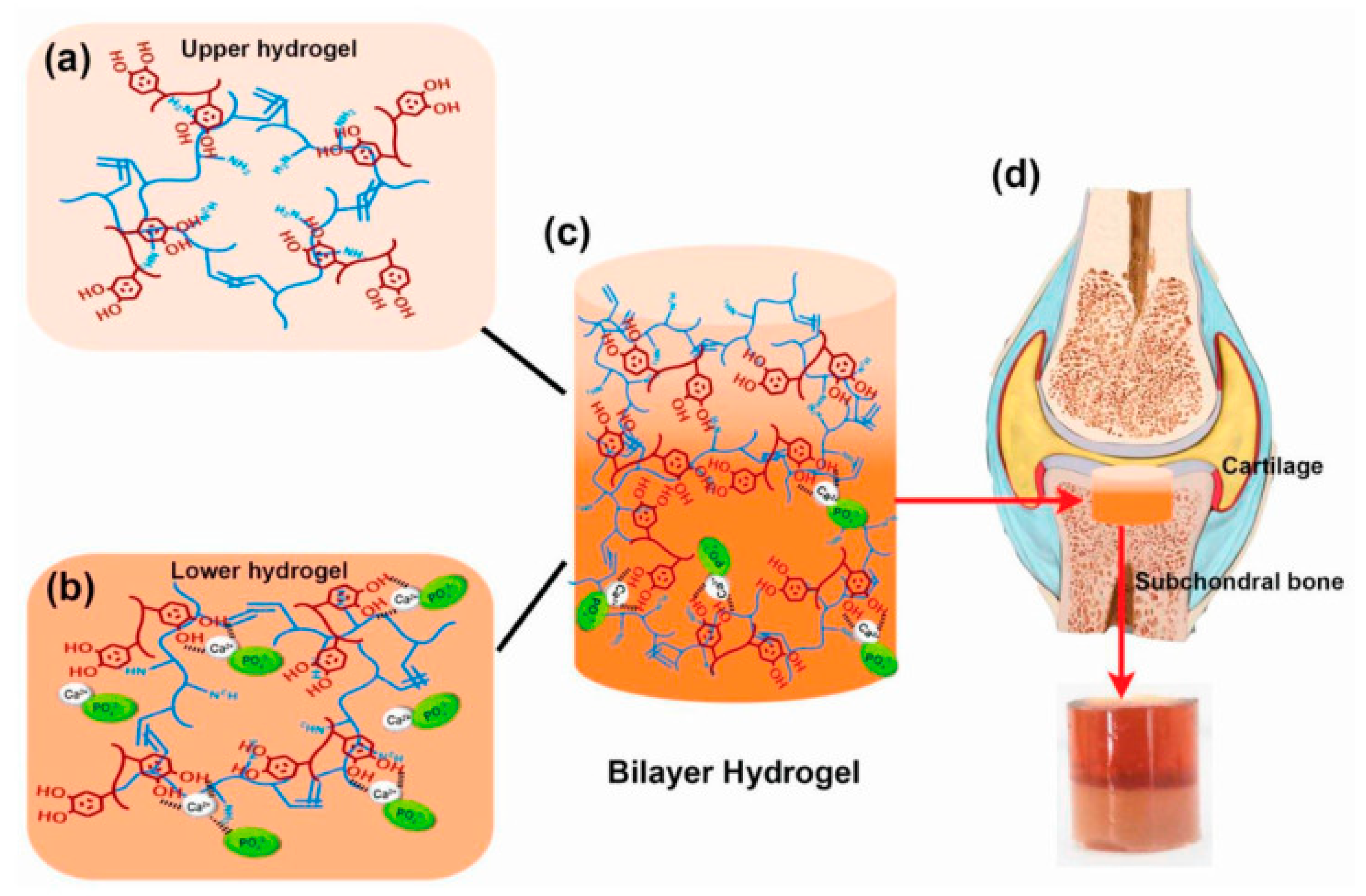 Materials 17 03916 g003