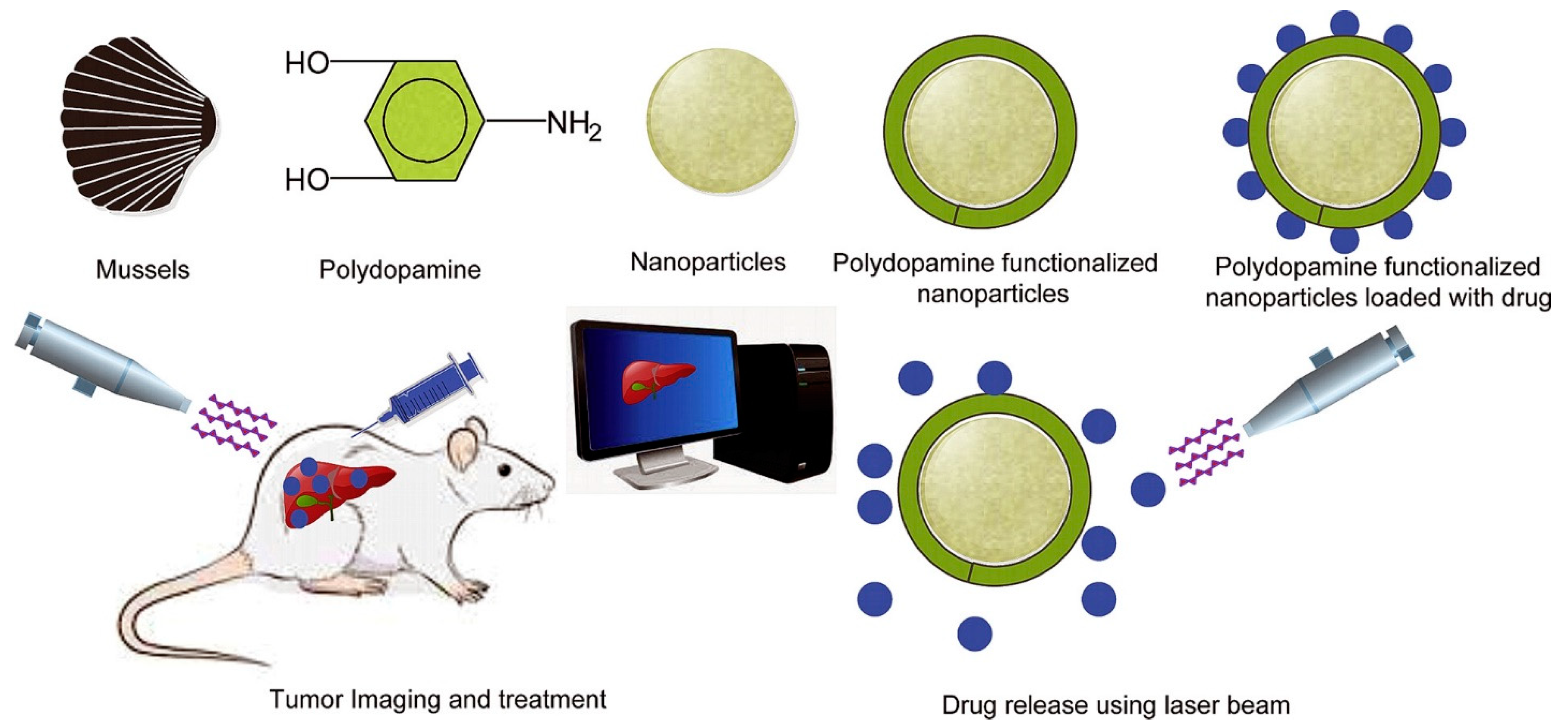 Materials 17 03916 g004