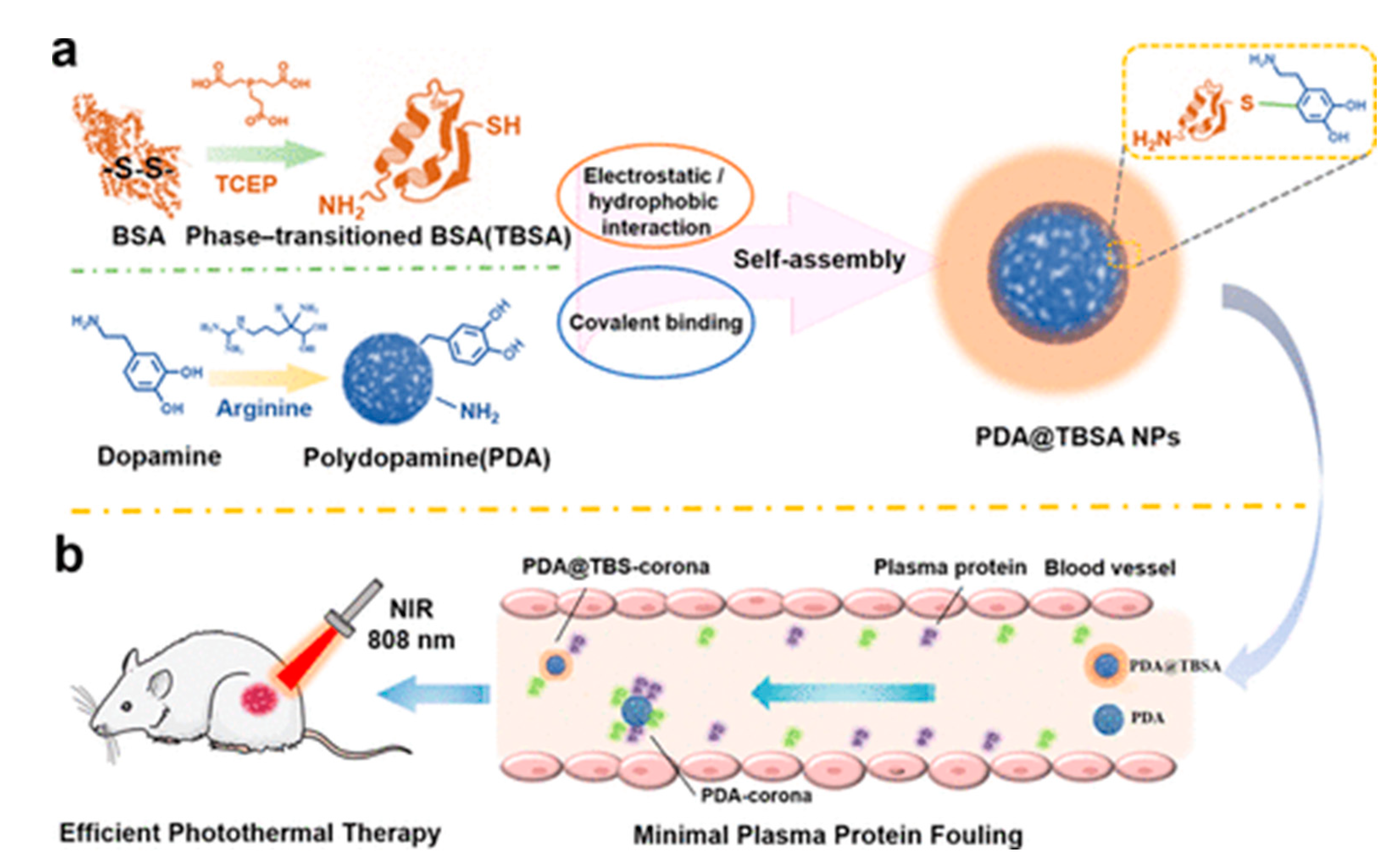 Materials 17 03916 g005
