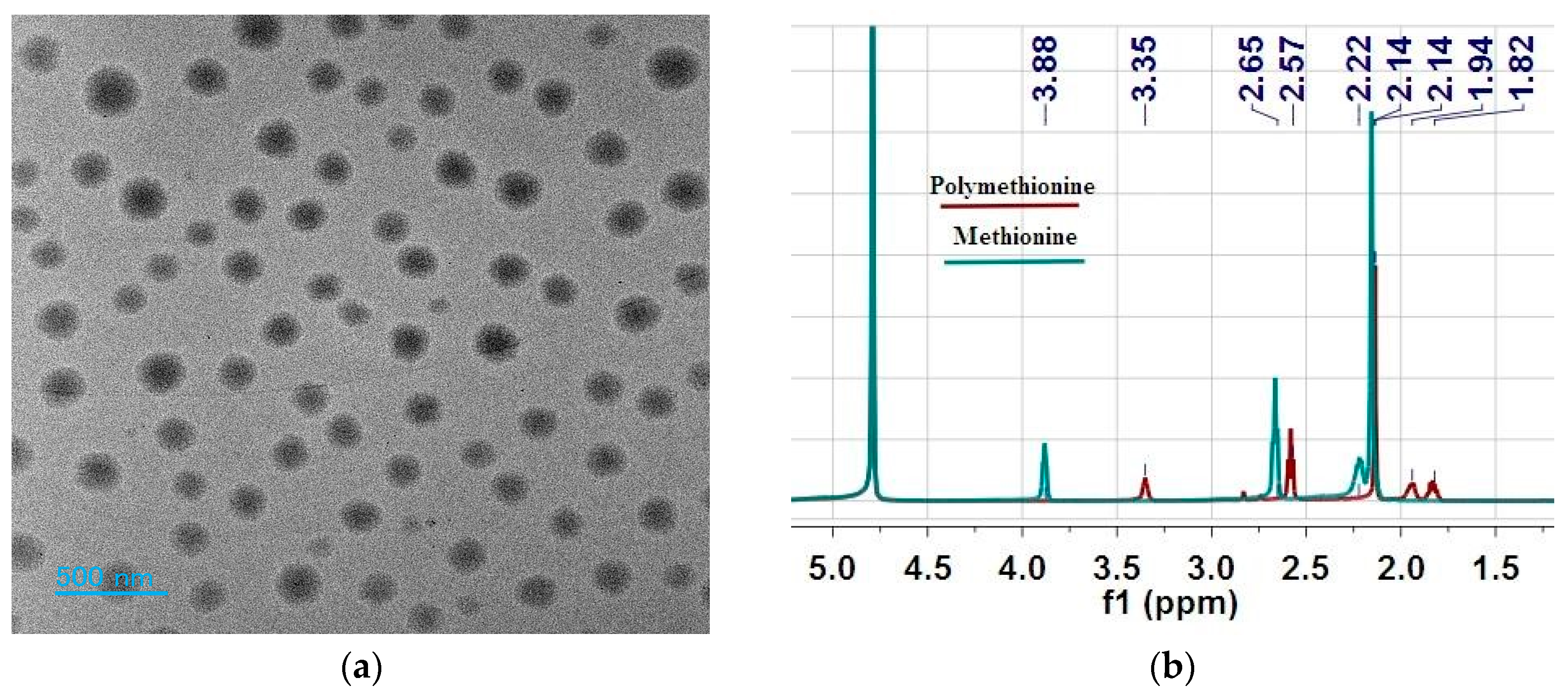 Materials 17 03919 g001a