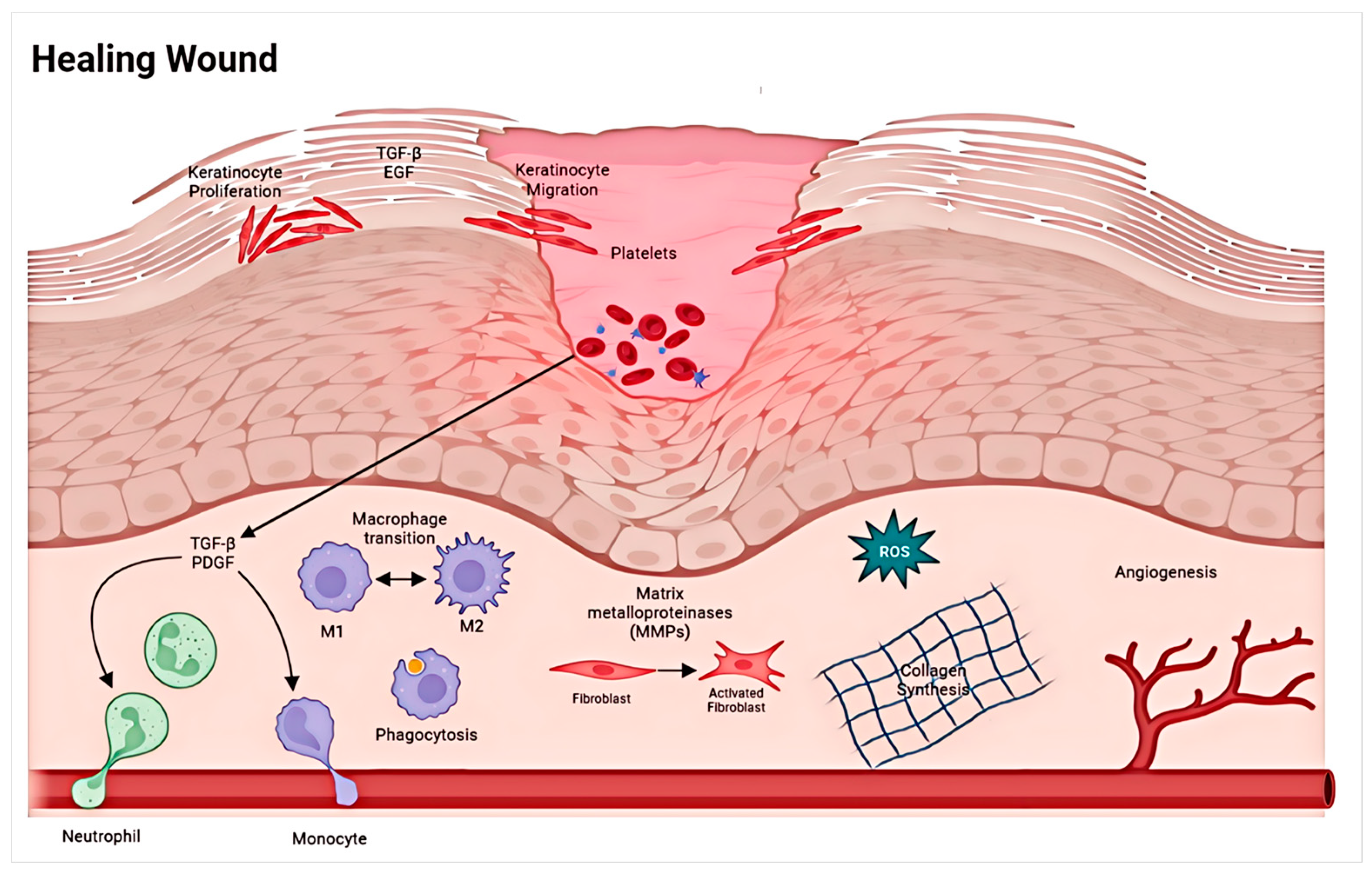 Materials 17 03924 g001
