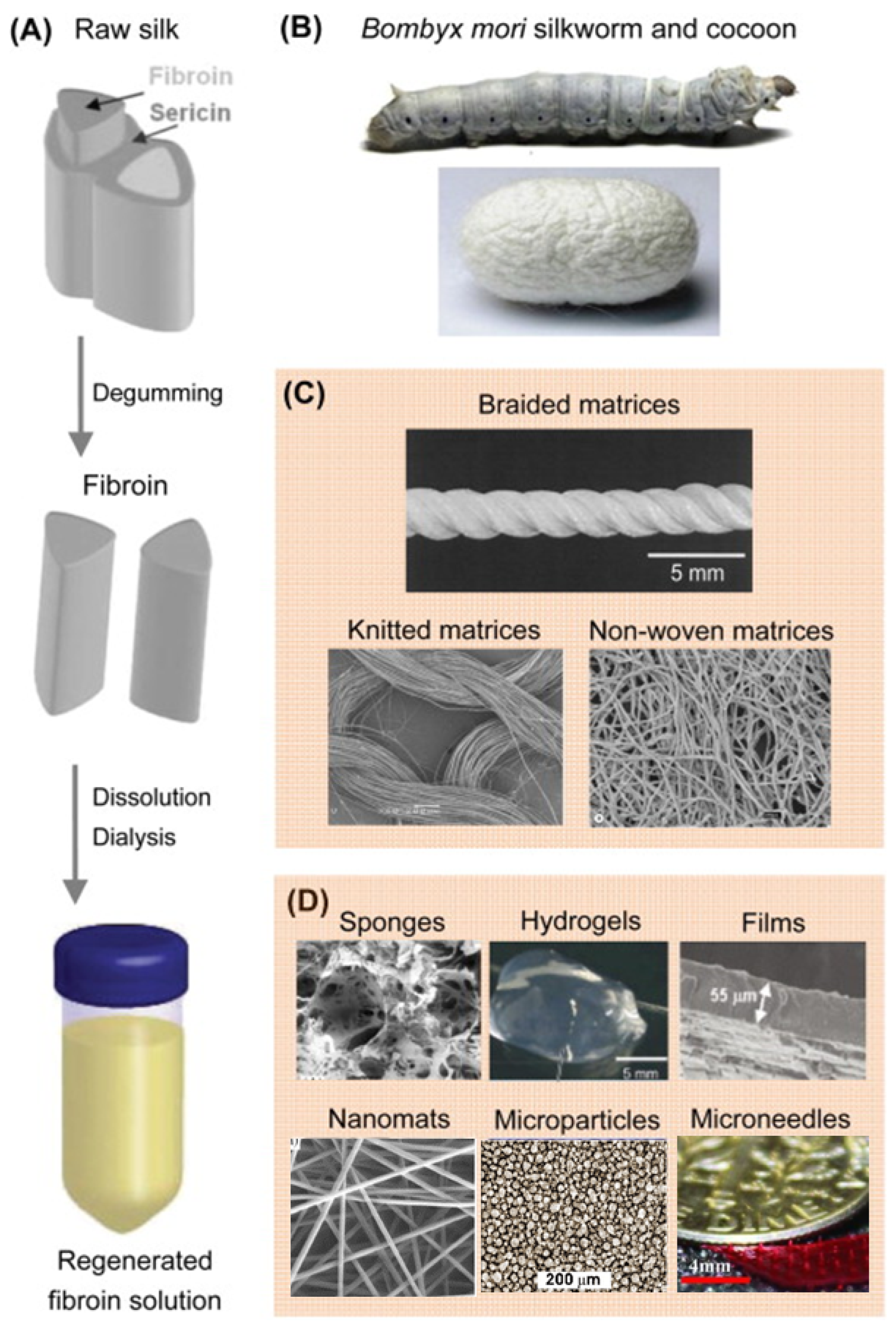 Materials 17 03924 g004