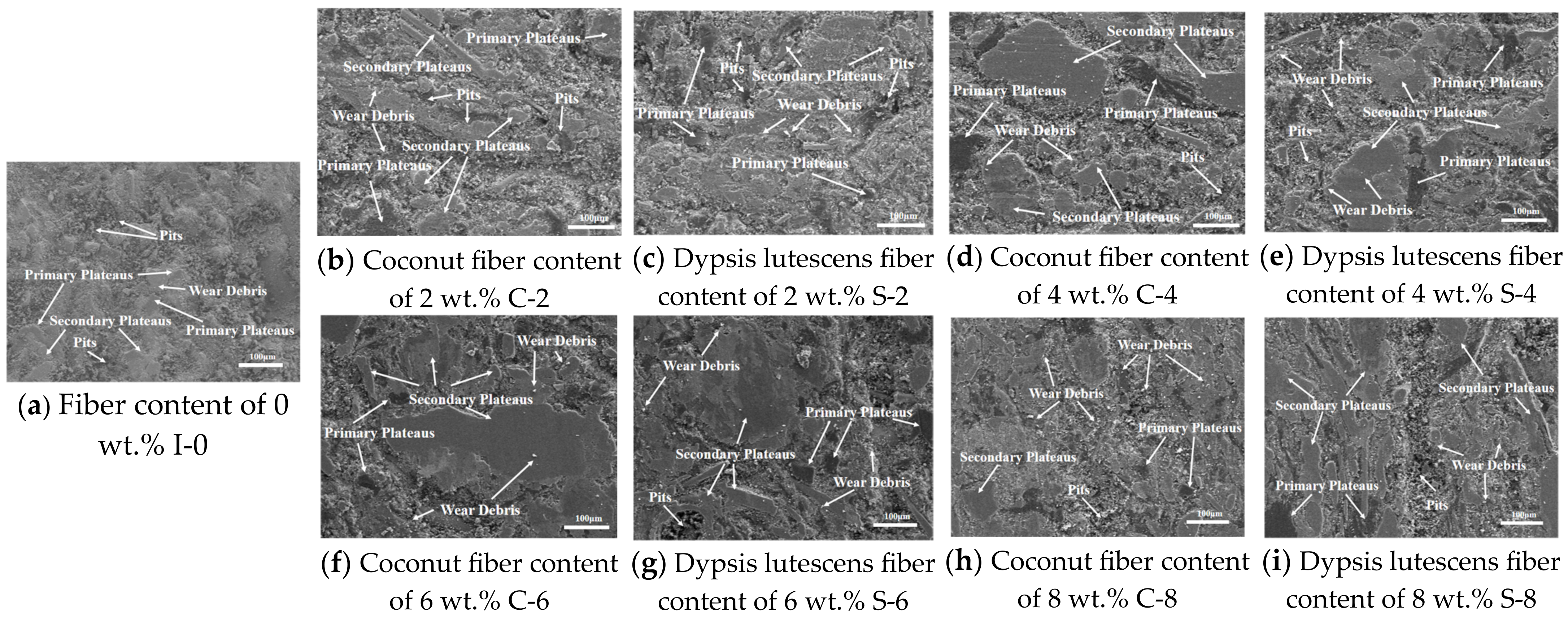 Materials 17 03926 g008