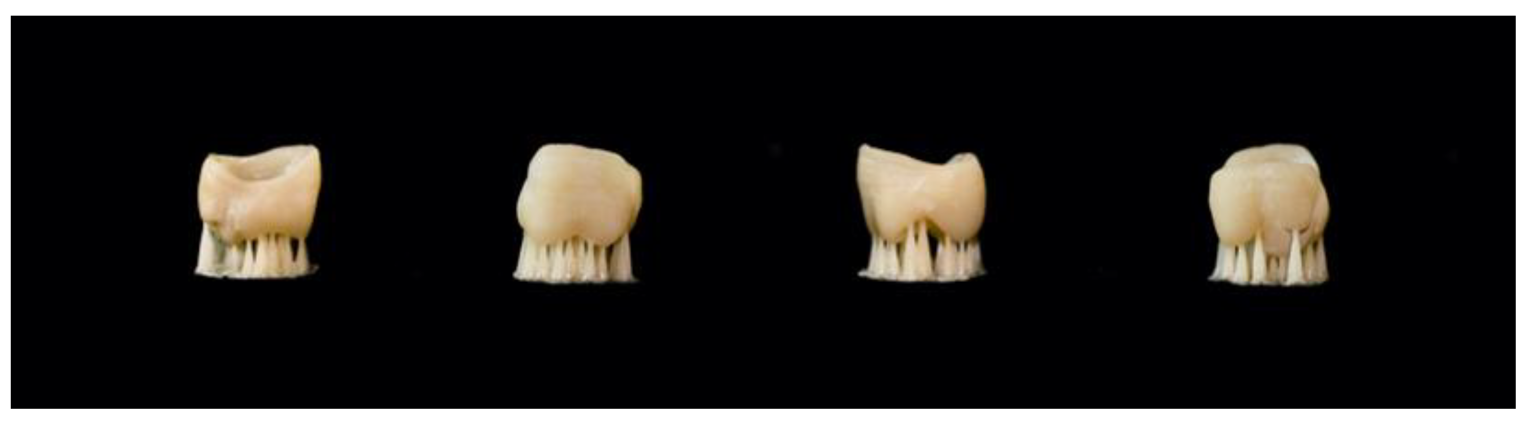 Materials 17 03951 g001