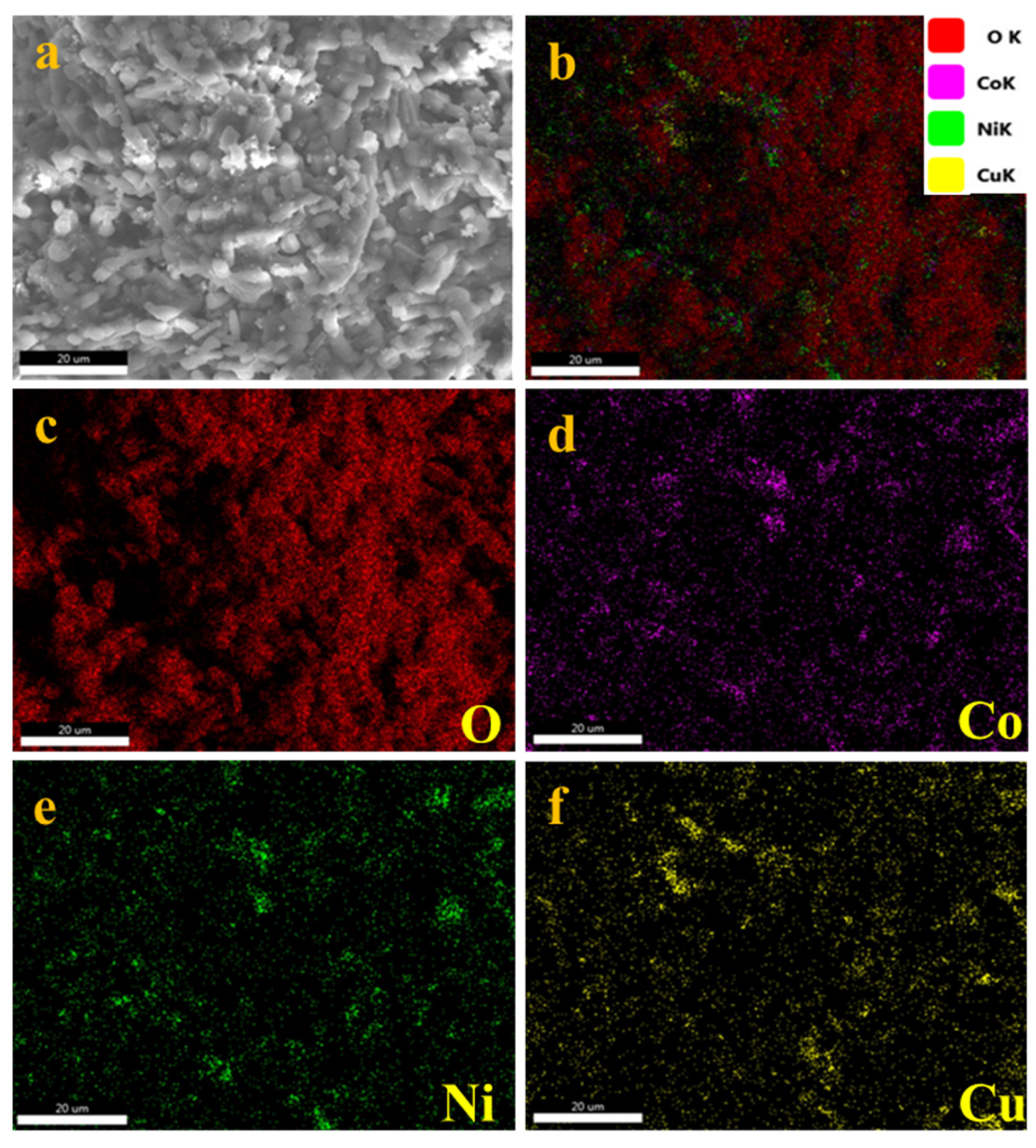 Materials 17 03976 g004