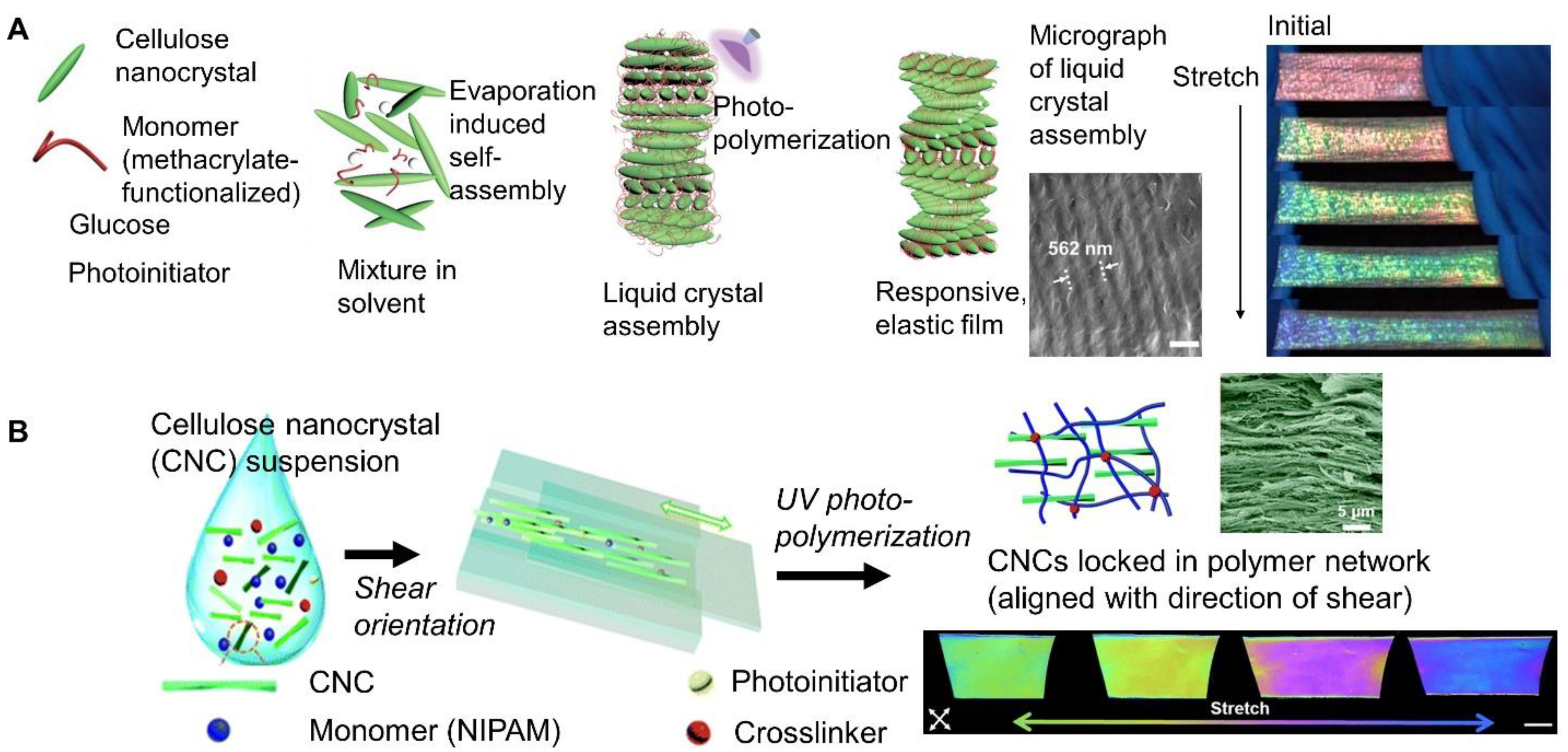 Materials 17 03980 g006