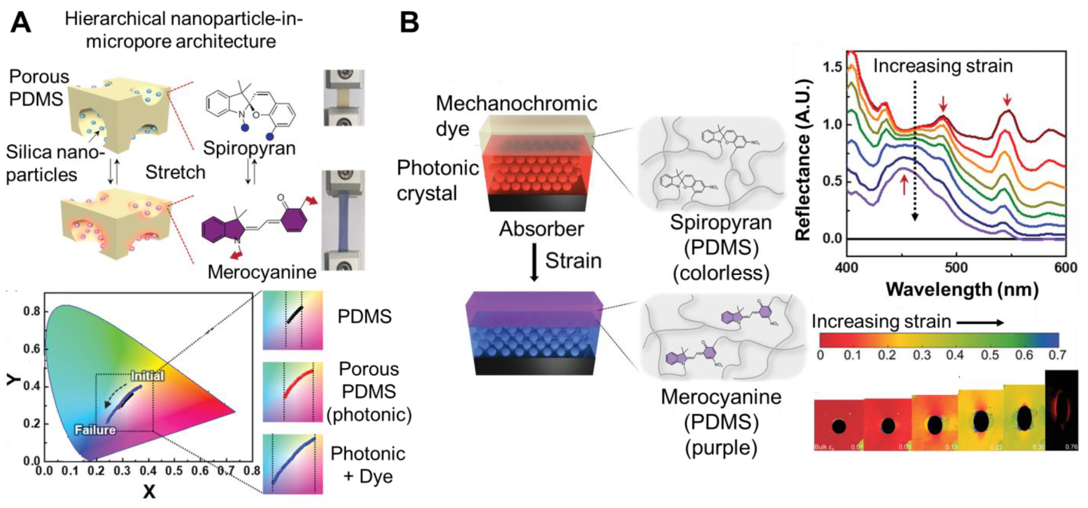 Materials 17 03980 g010