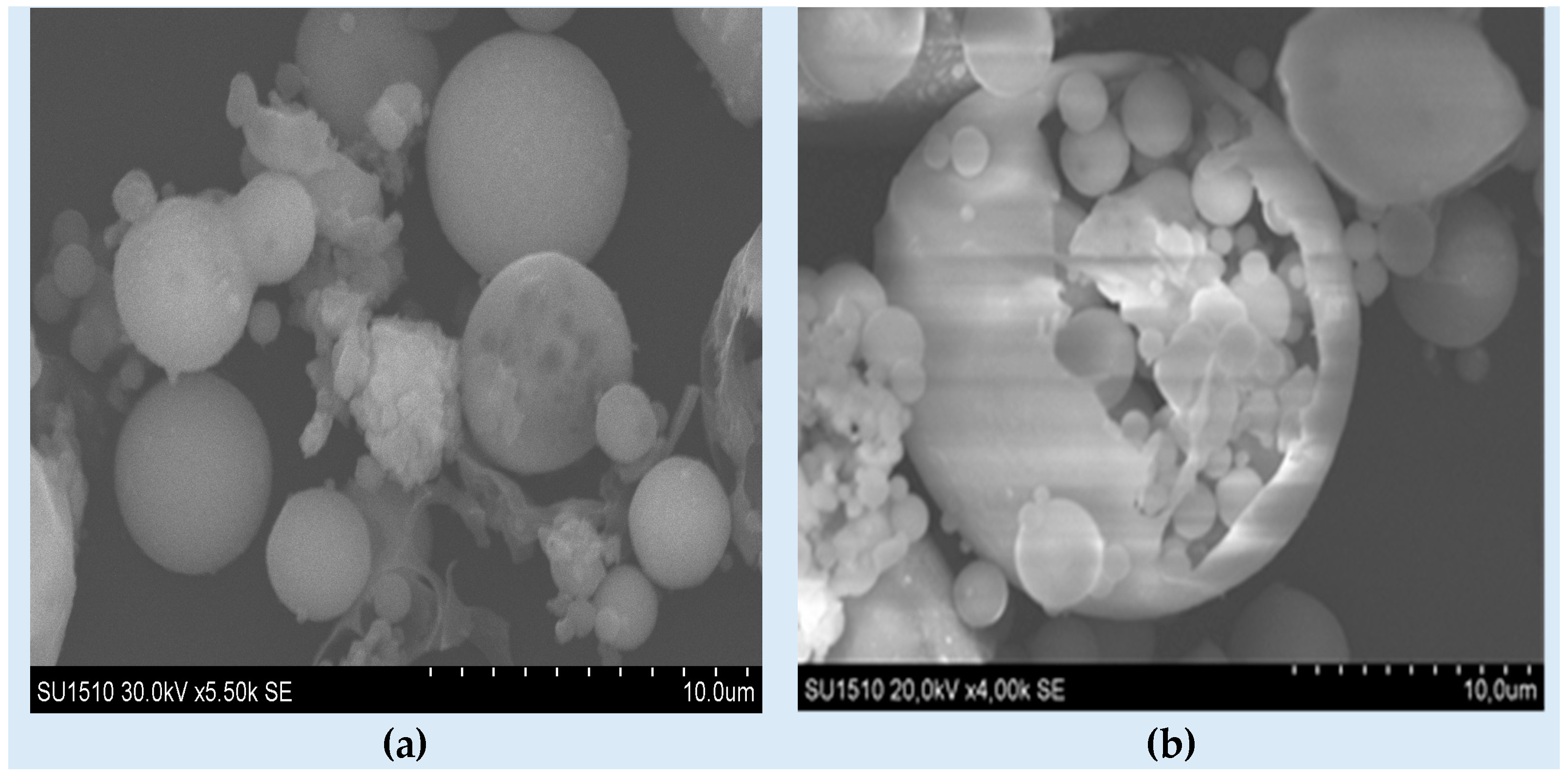 Materials 17 03992 g001a