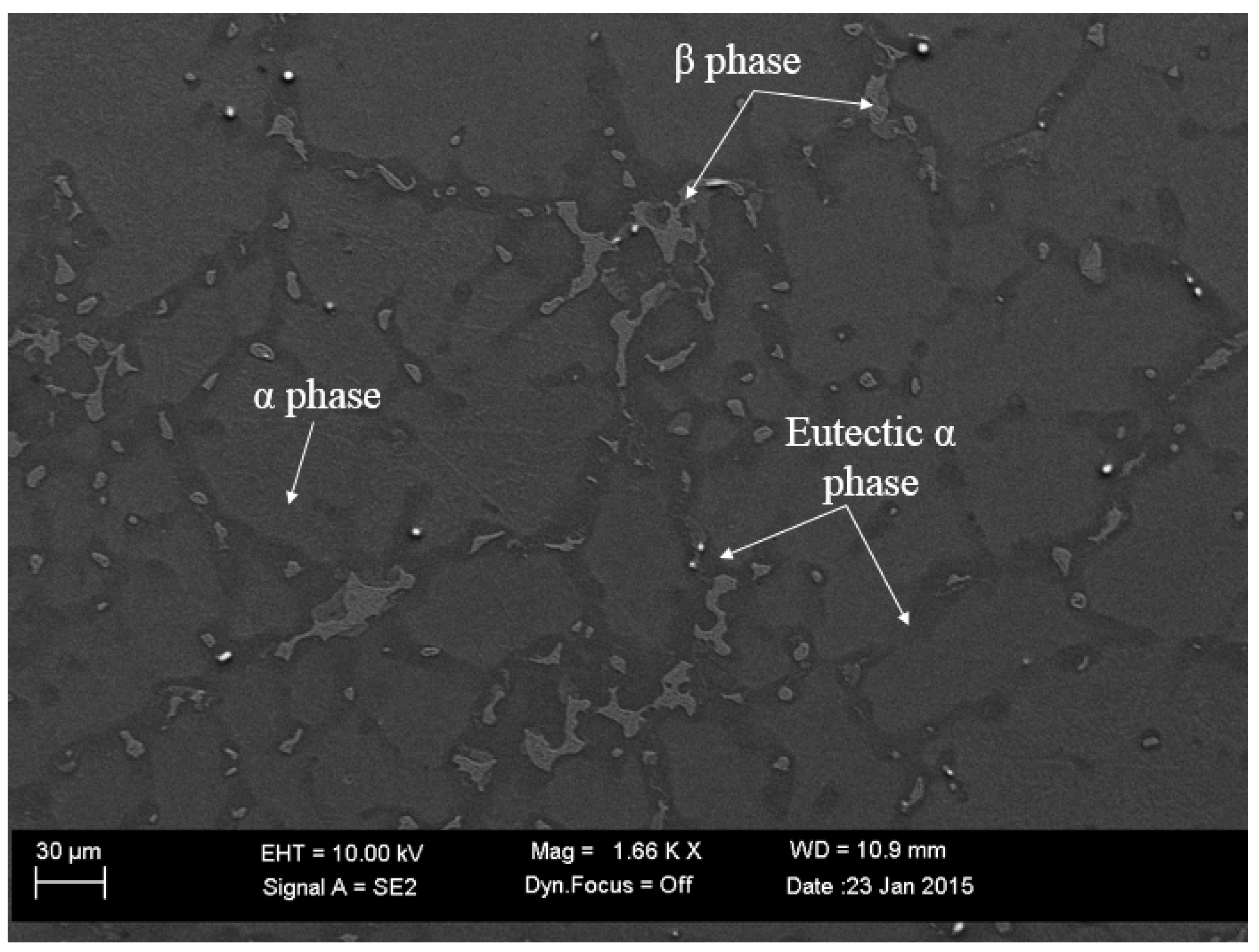 Materials 17 03995 g002