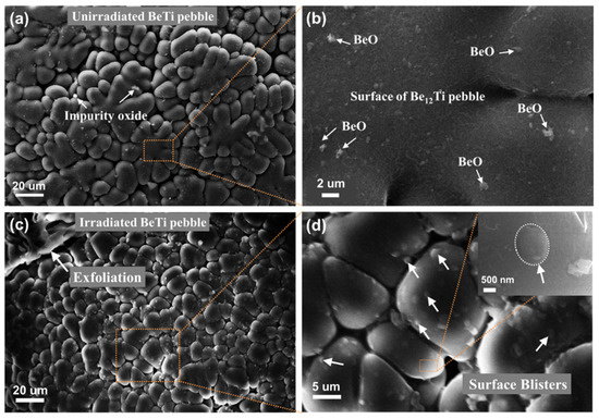 Blistering Behavior of Beryllium and Beryllium Alloy under High-Dose ...