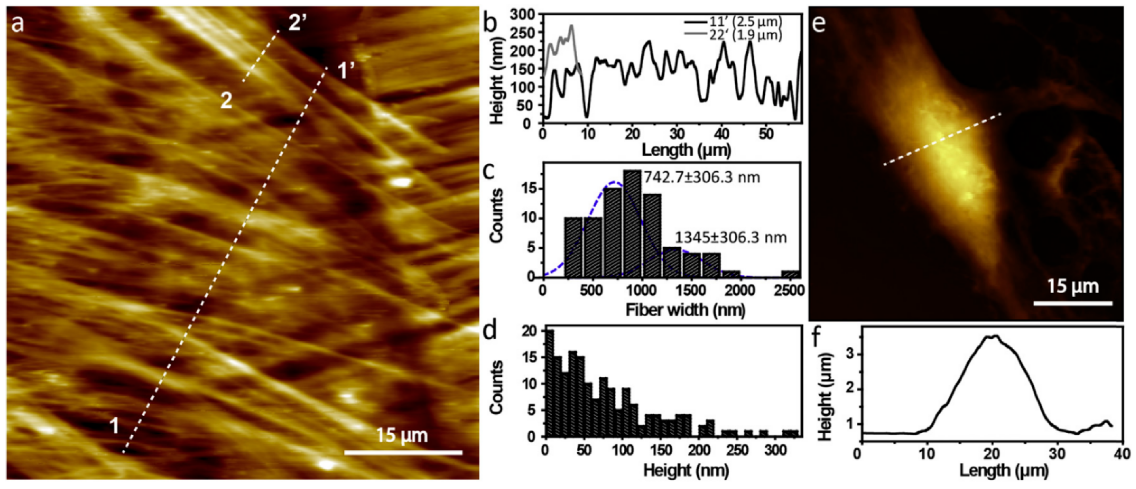 Materials 17 04014 g004